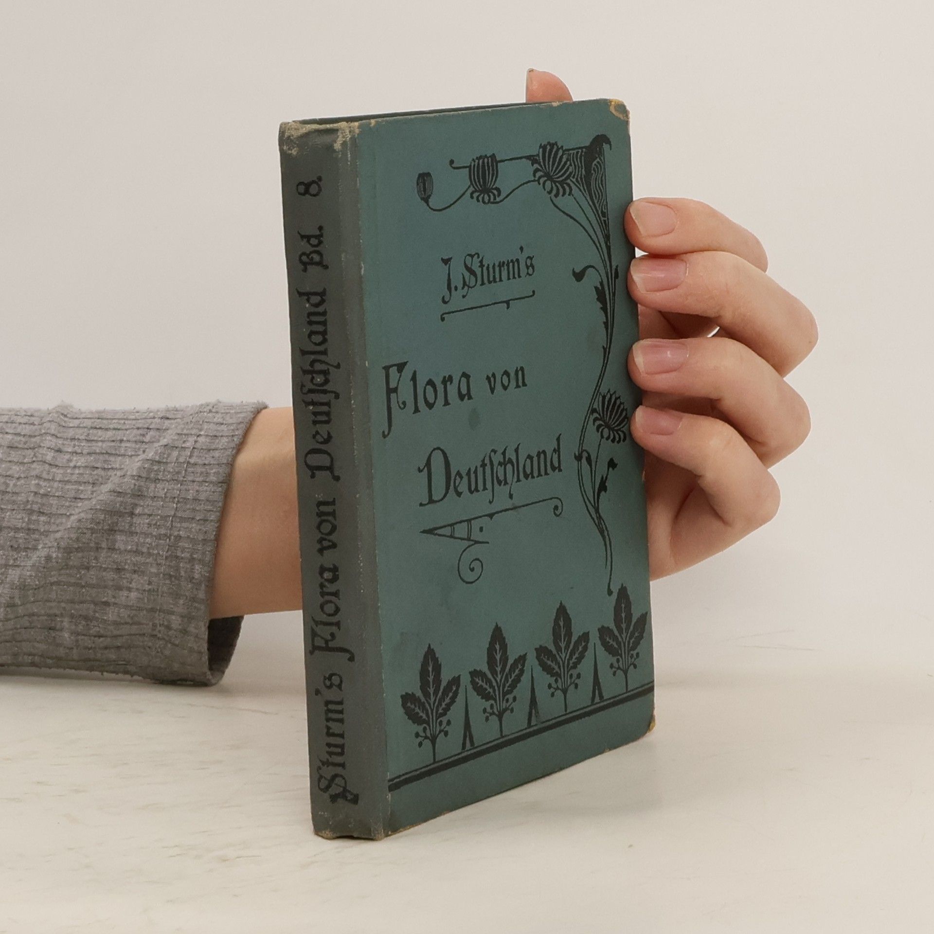 J. Sturm's Flora von Deutschland. Band 8