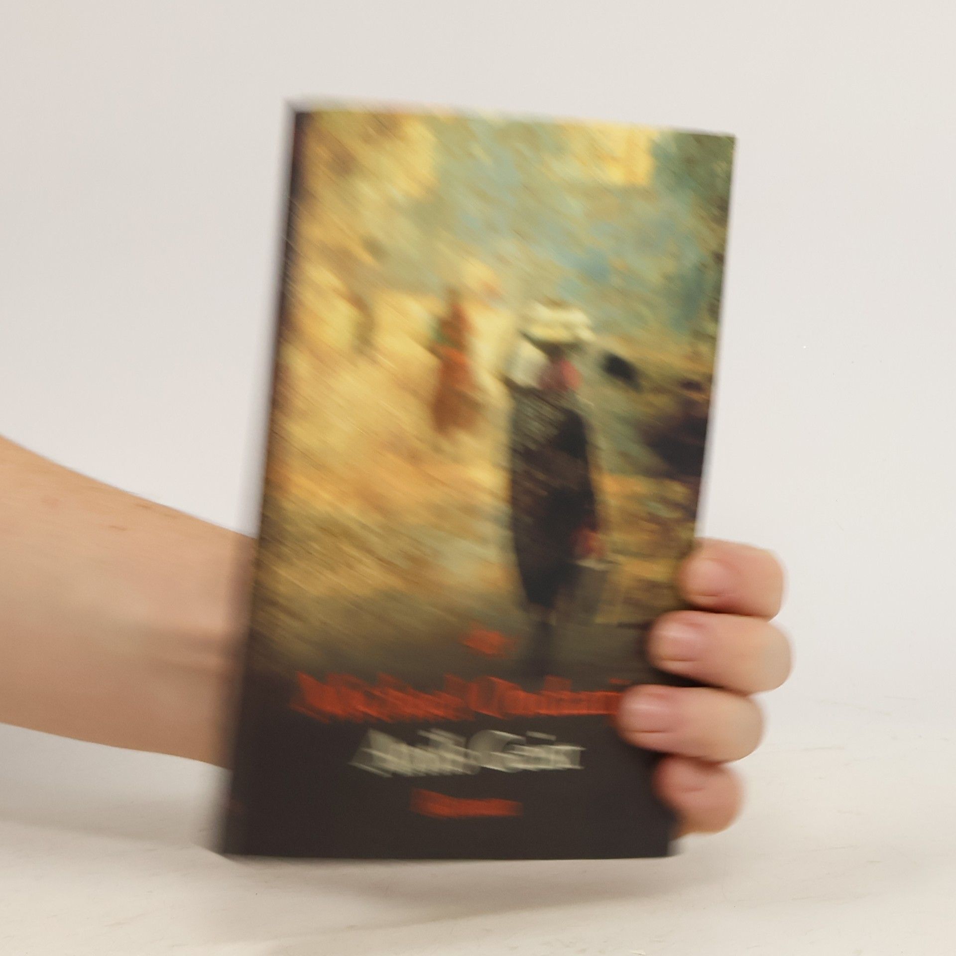 Michael Ondaatje Anils Geist