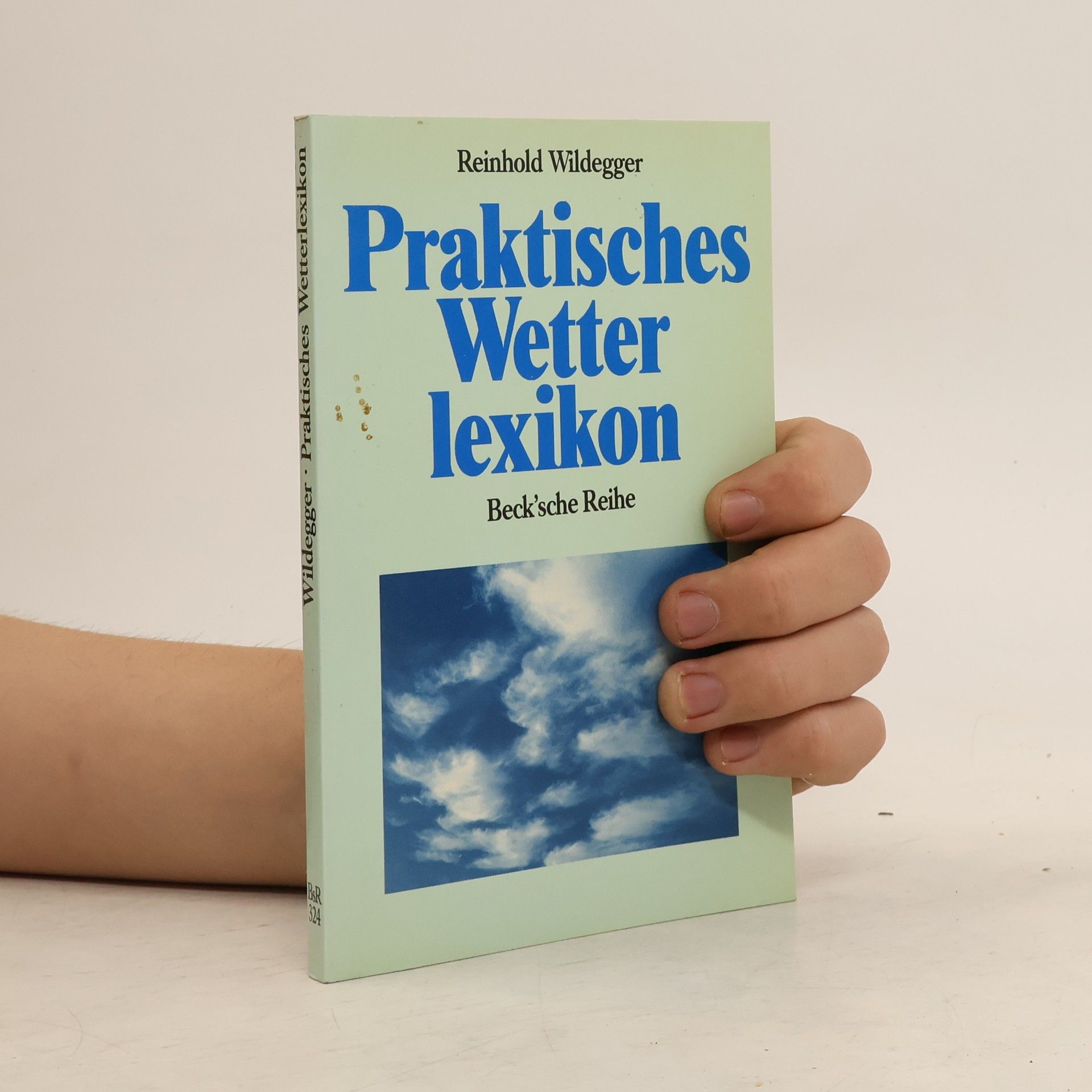 Reinhold Wildegger Praktisches Wetterlexikon