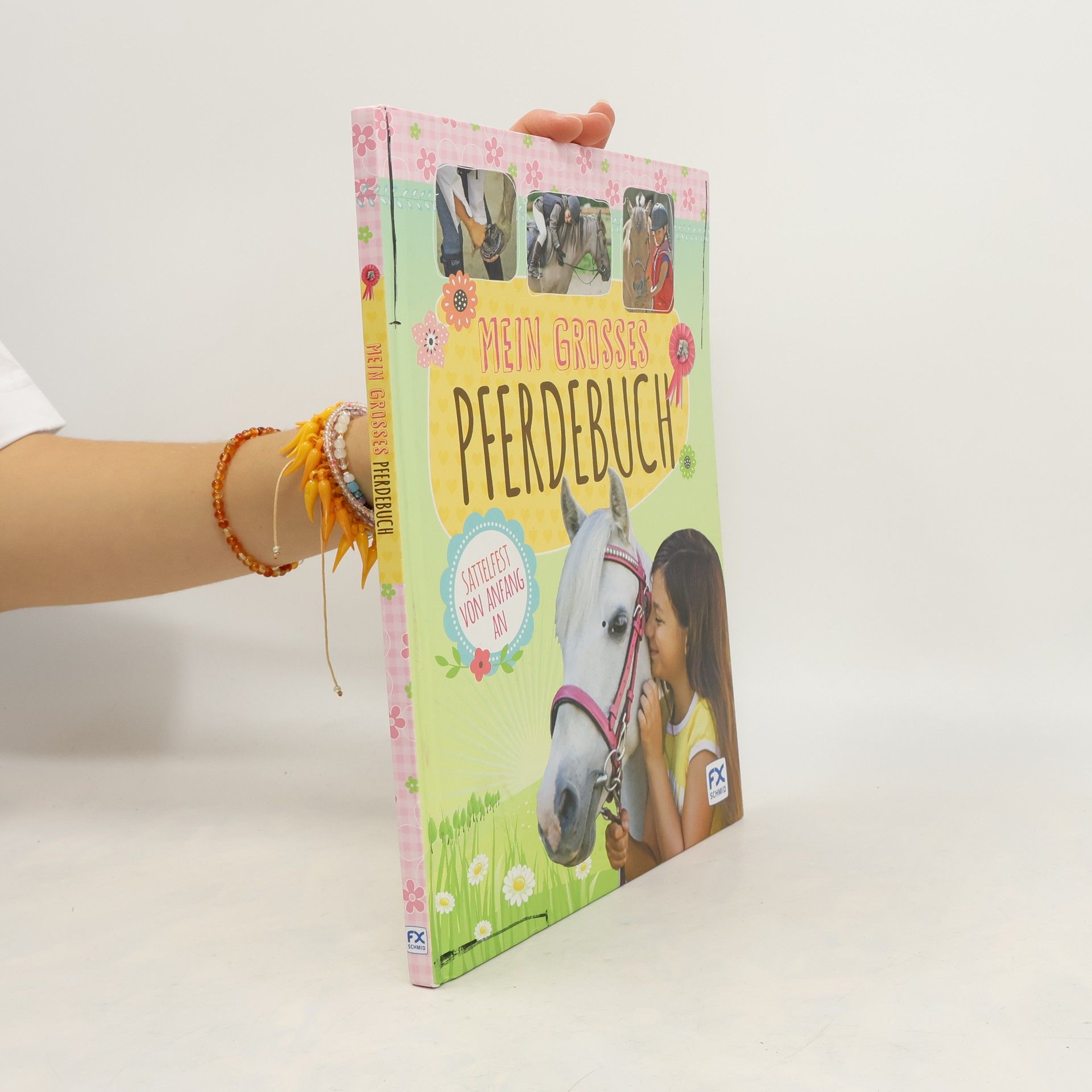 Collectif d'auteurs Mein grosses Pferdebuch