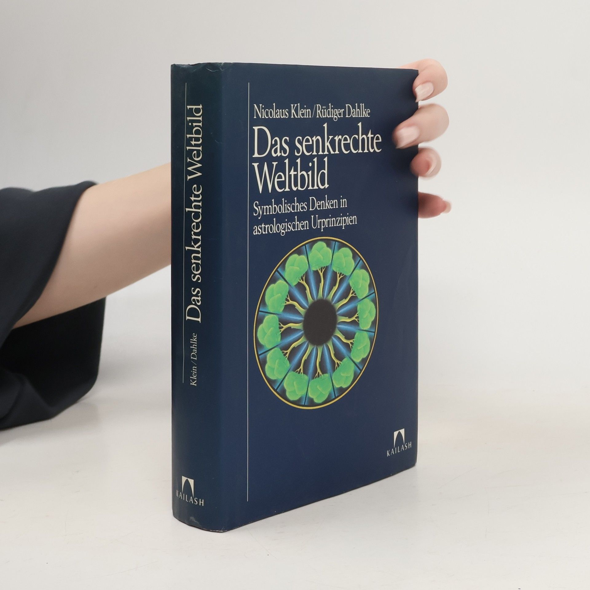 Nicolaus Klein Das senkrechte Weltbild