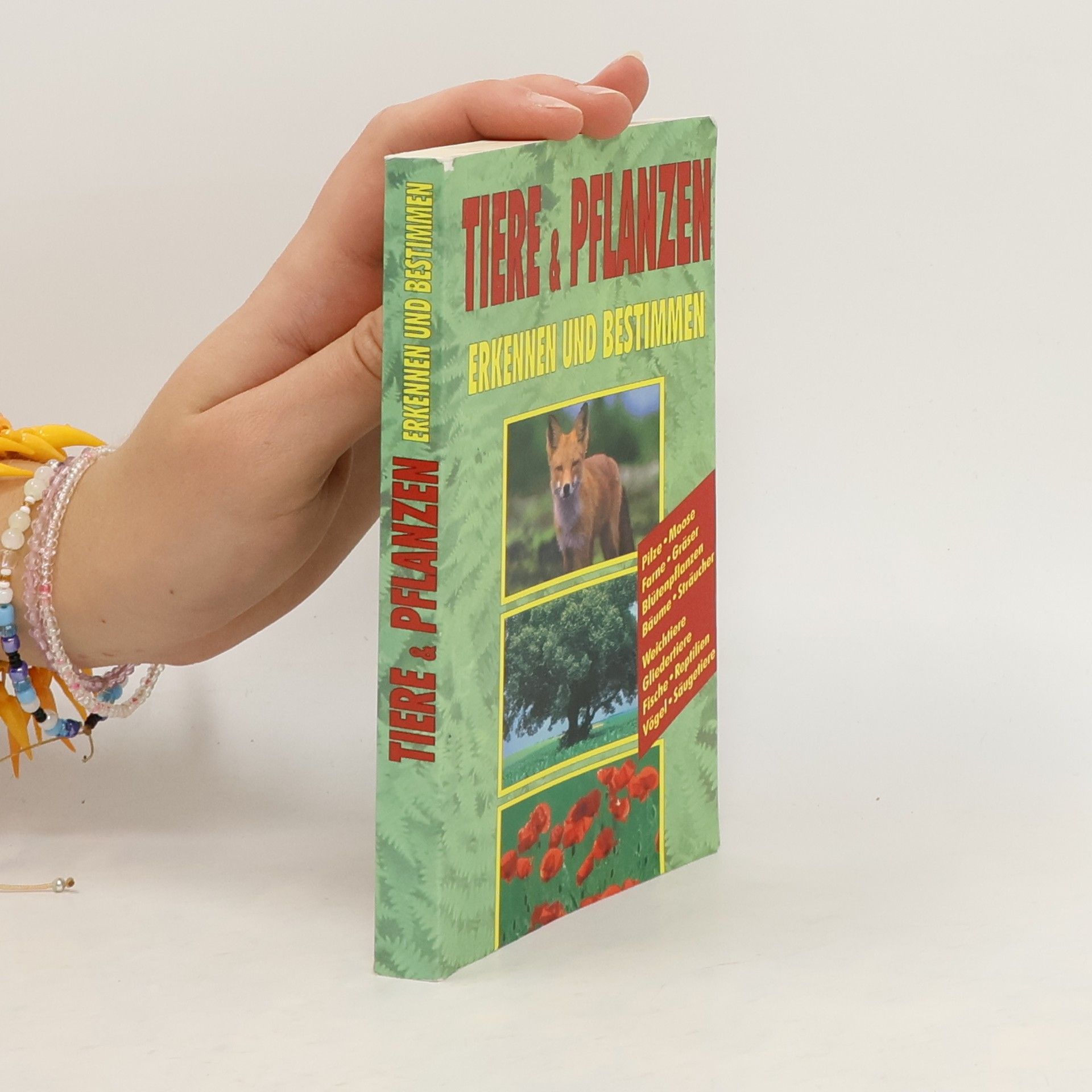 Collectif d'auteurs Tiere & Pflanzen