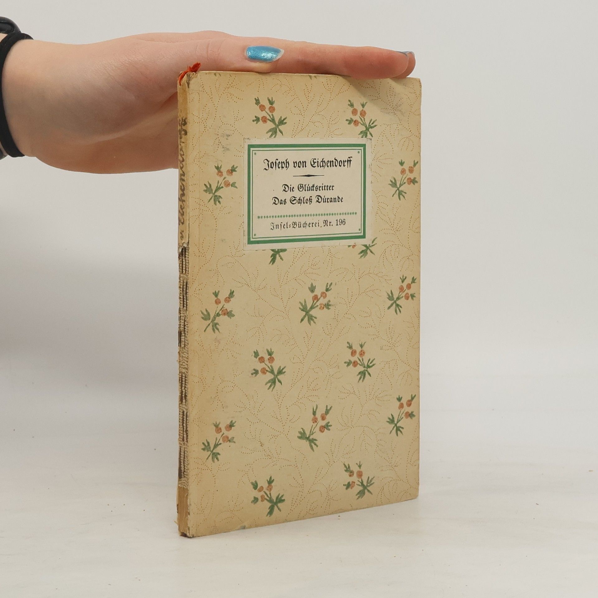 Joseph von Eichendorff Die Glücksritter. Das Schloß Dürande
