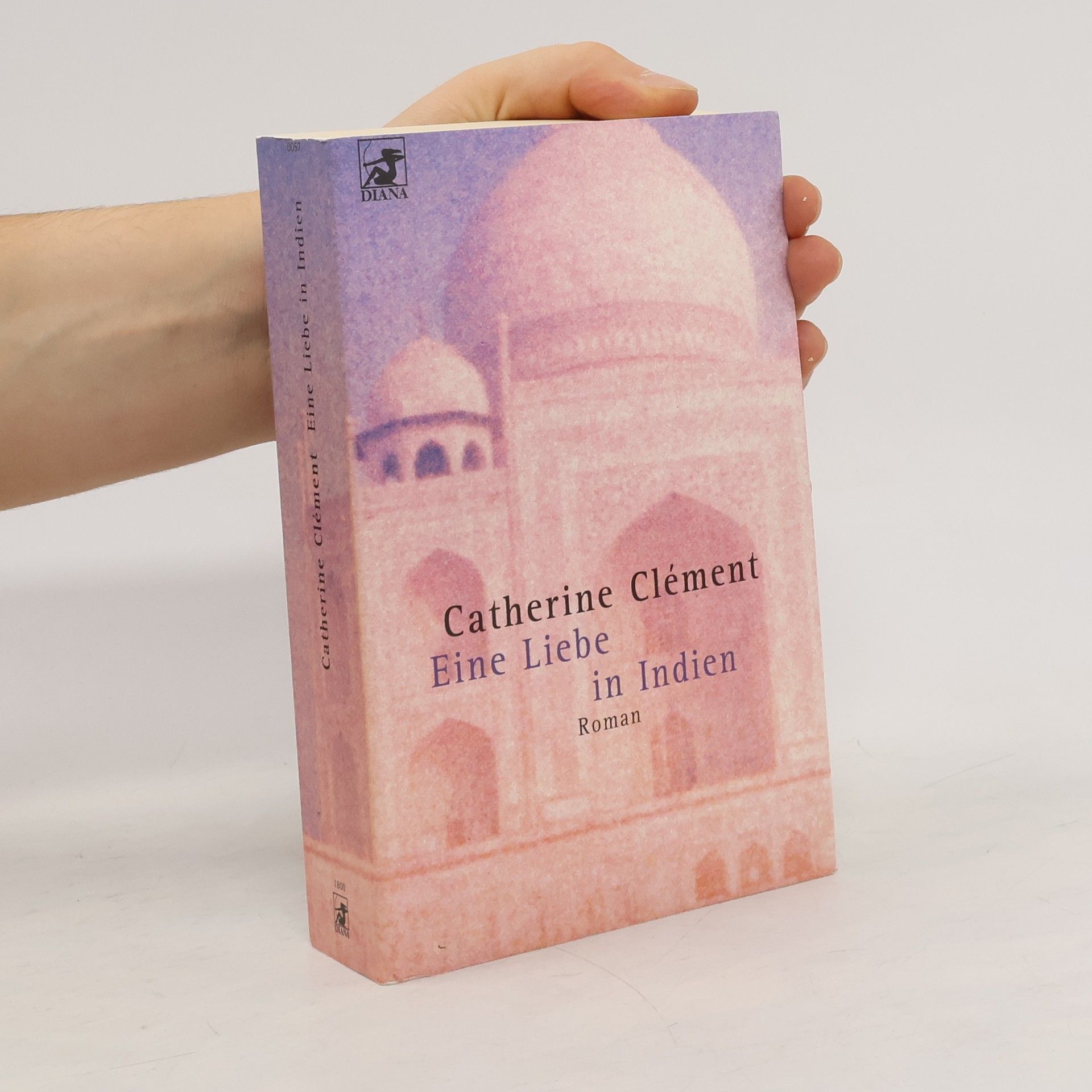 Catherine Clément Eine Liebe in Indien