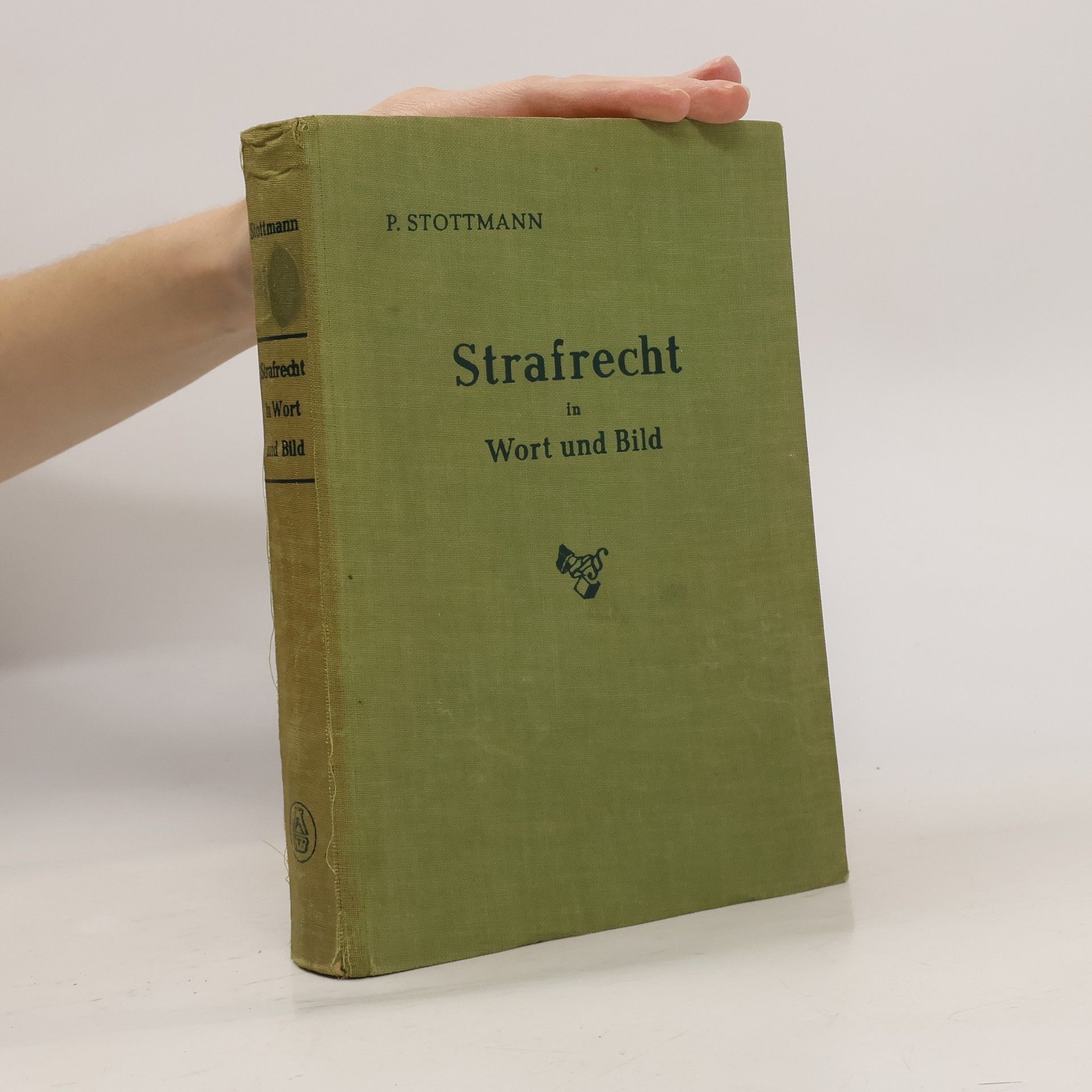 P. Stottmann Strafrecht in Wort und Bild