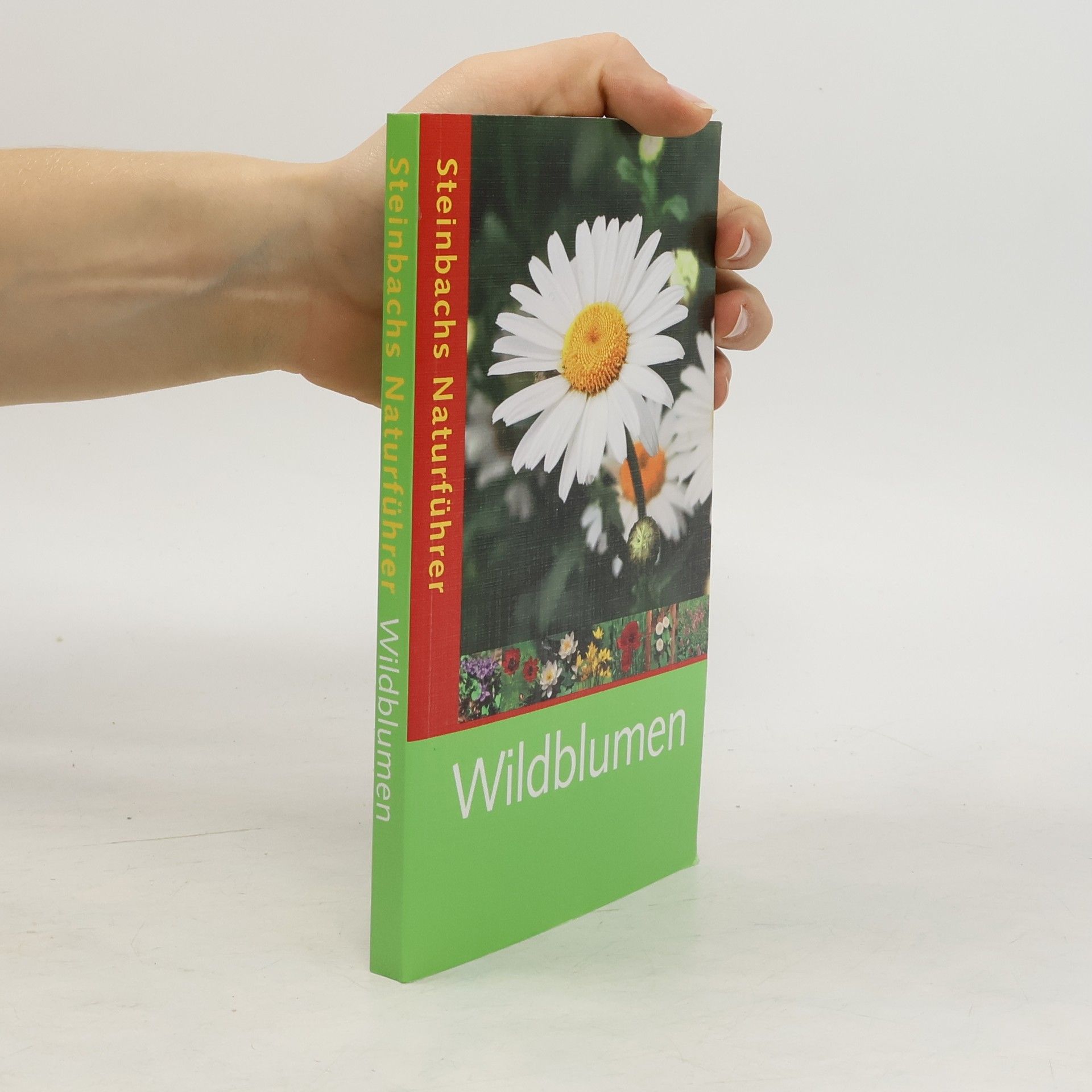 Bruno P. Kremer Wildblumen entdecken und erkennen