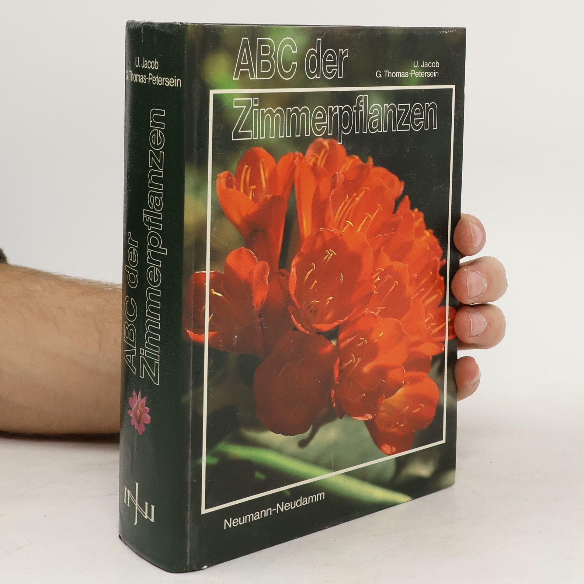 Udo Jacob ABC der Zimmerpflanzen