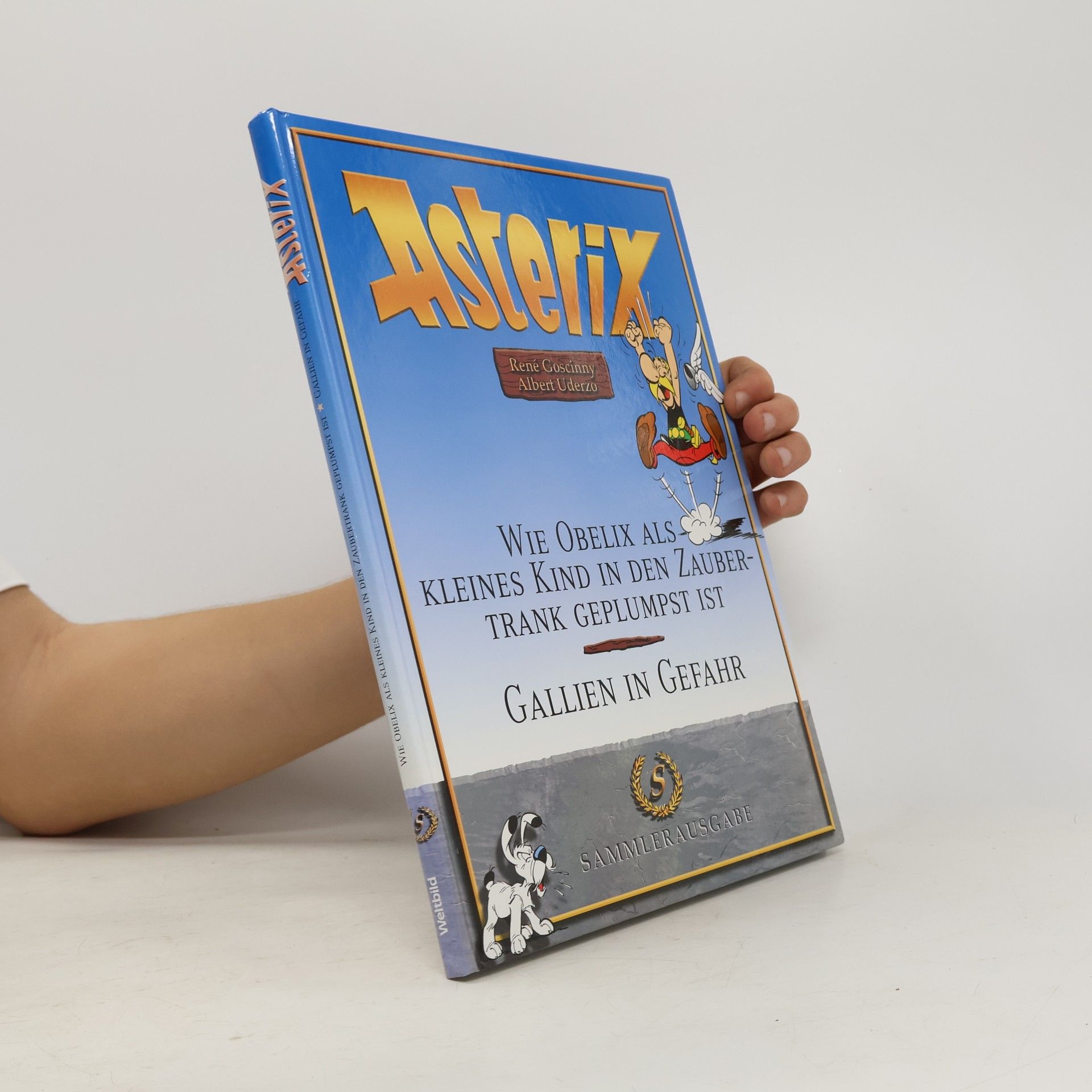 René Goscinny Asterix. Wie Obelix als kleines Kind in den Zaubertrank geplumpst ist. Gallien in Gefahr
