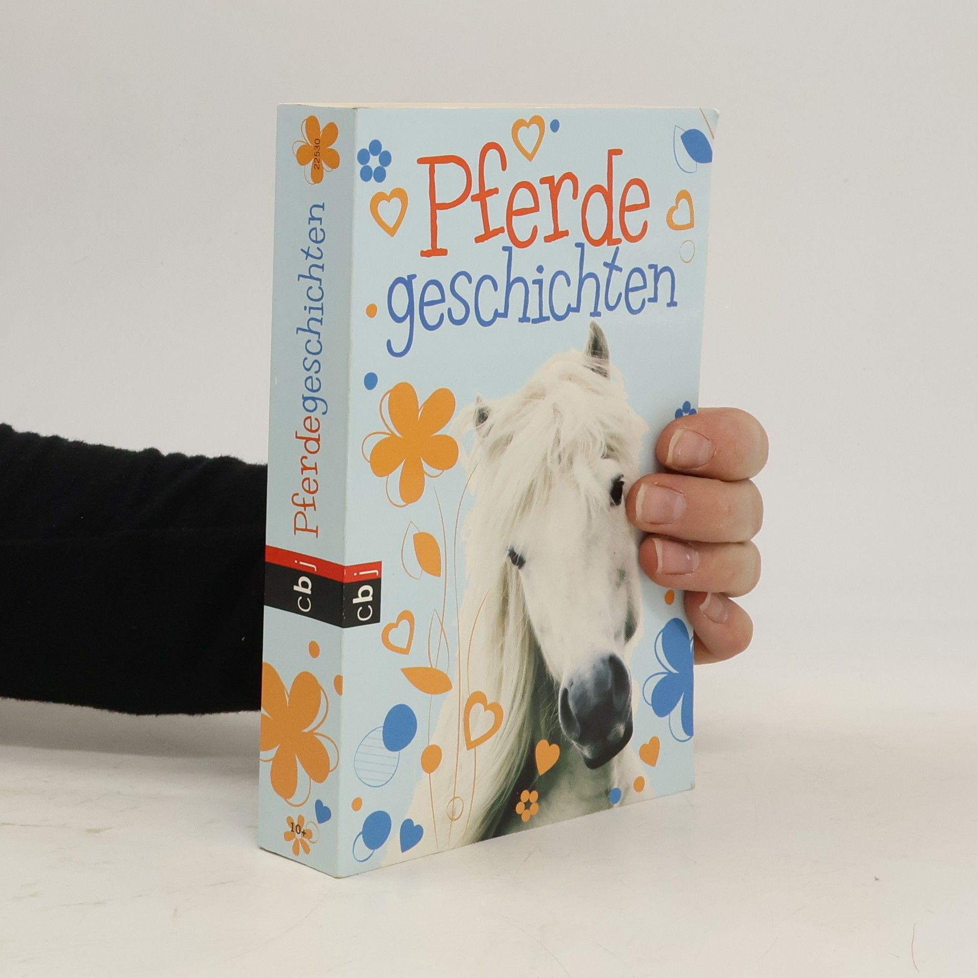 Christiane Gohl Pferdegeschichten