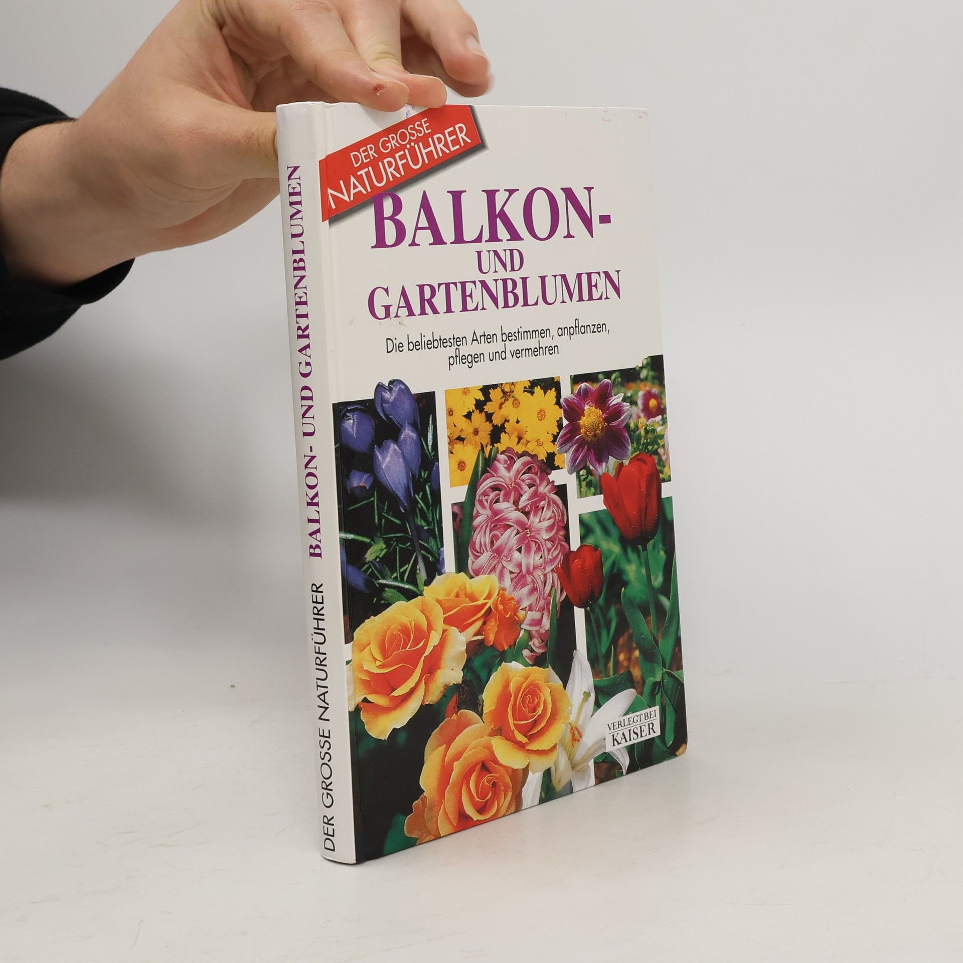 Maria Teresa Della Beffa Balkon- und Gartenblumen