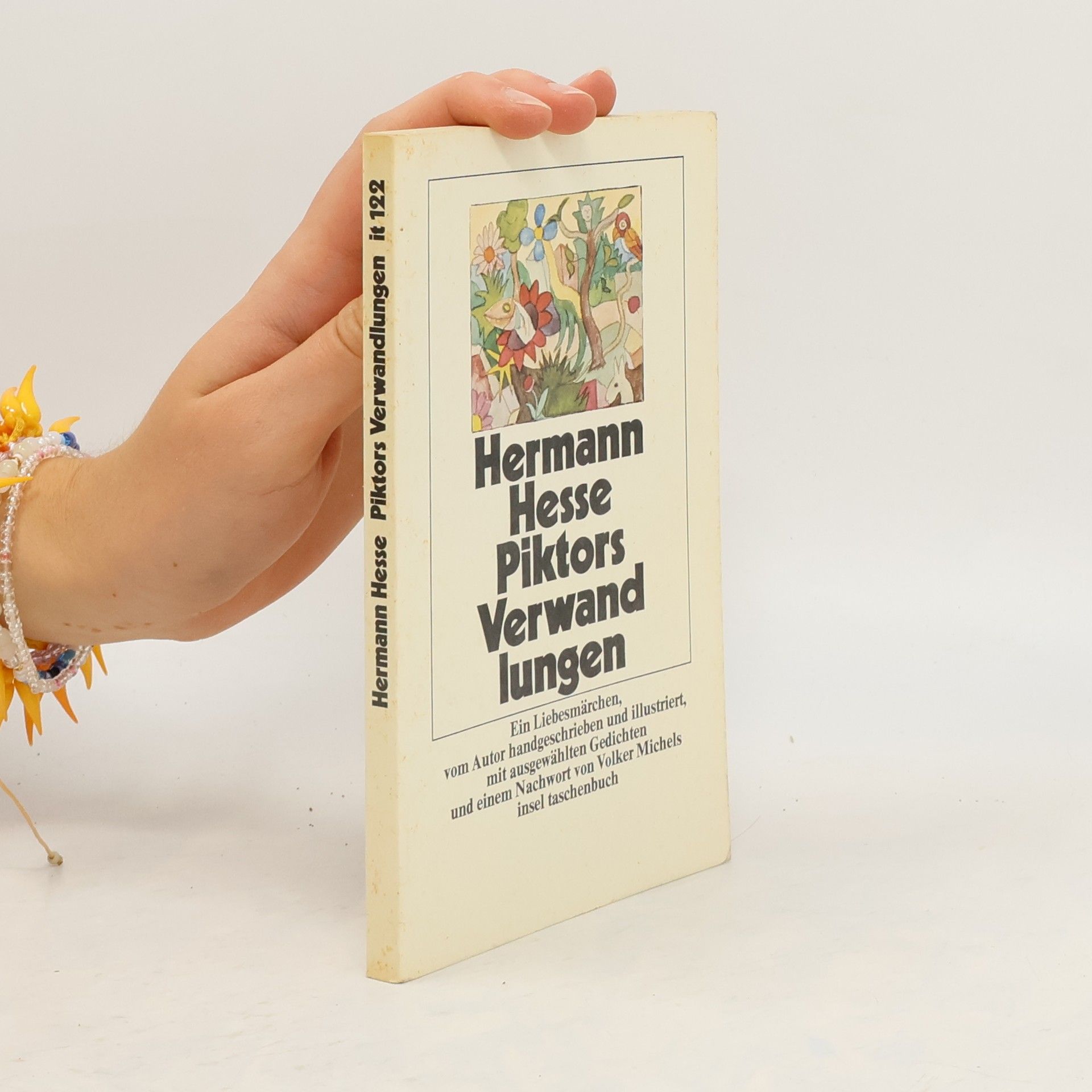 Hermann Hesse Piktors Verwandlungen