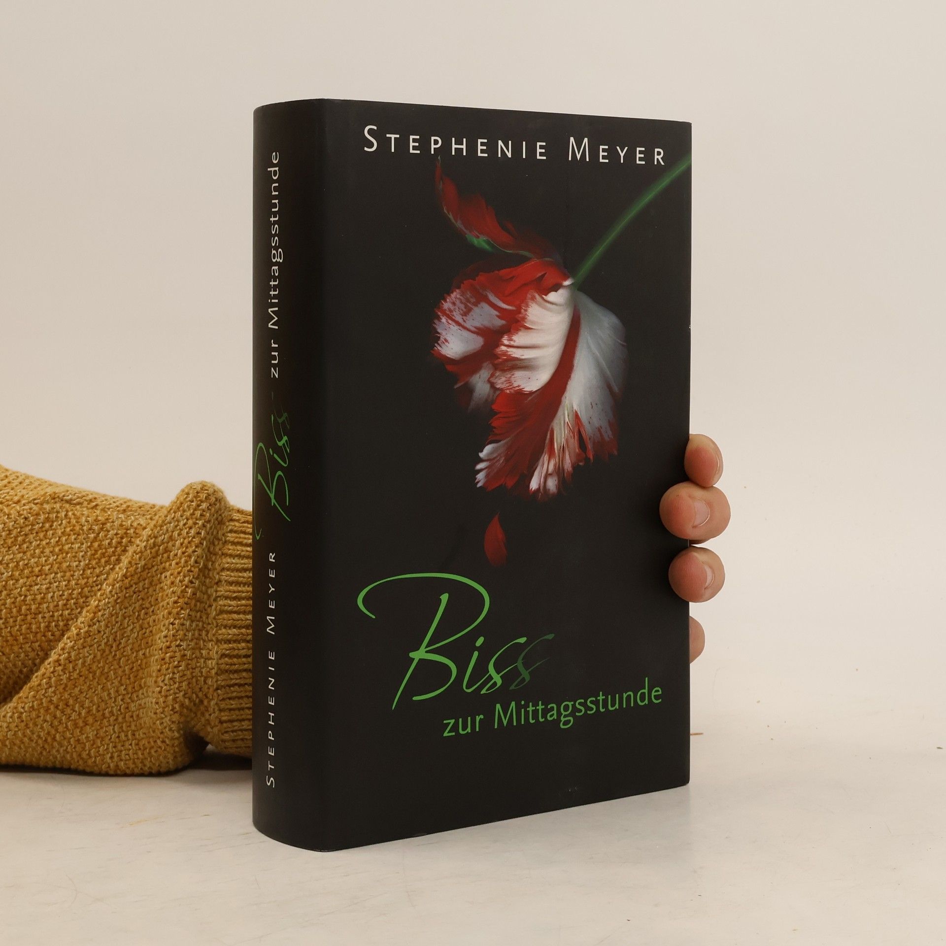 Stephanie Meyers Biss zur Mittagsstunde