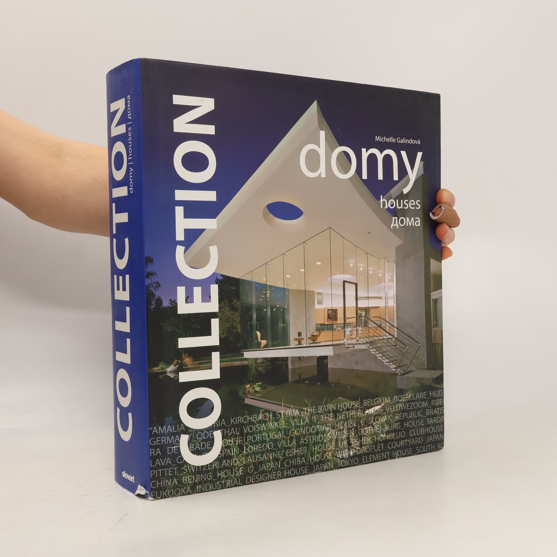 Michelle Galindo Collection. Domy