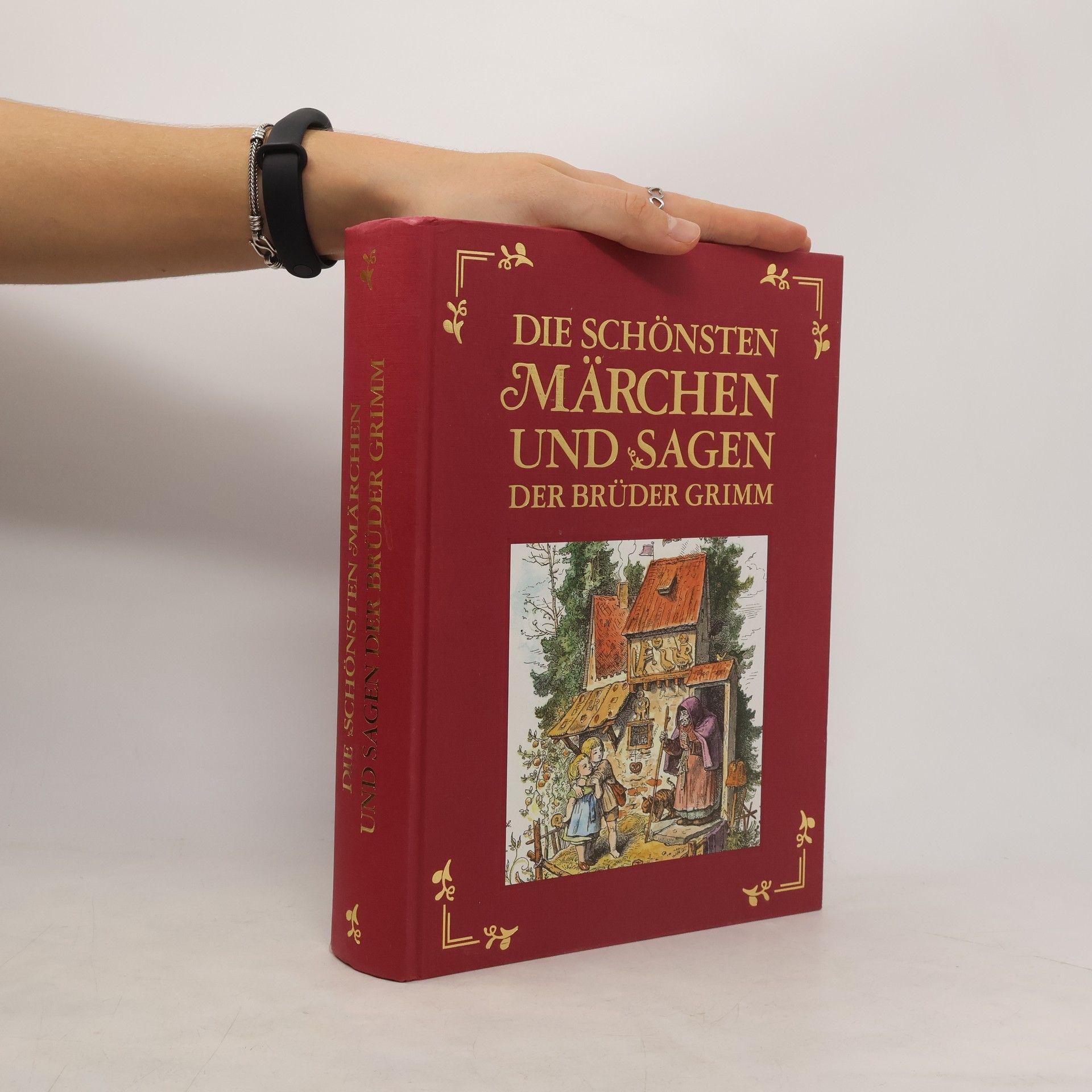 Jacob Ludwig Karl Grimm Die schönsten Märchen und Sagen der Brüder Grimm