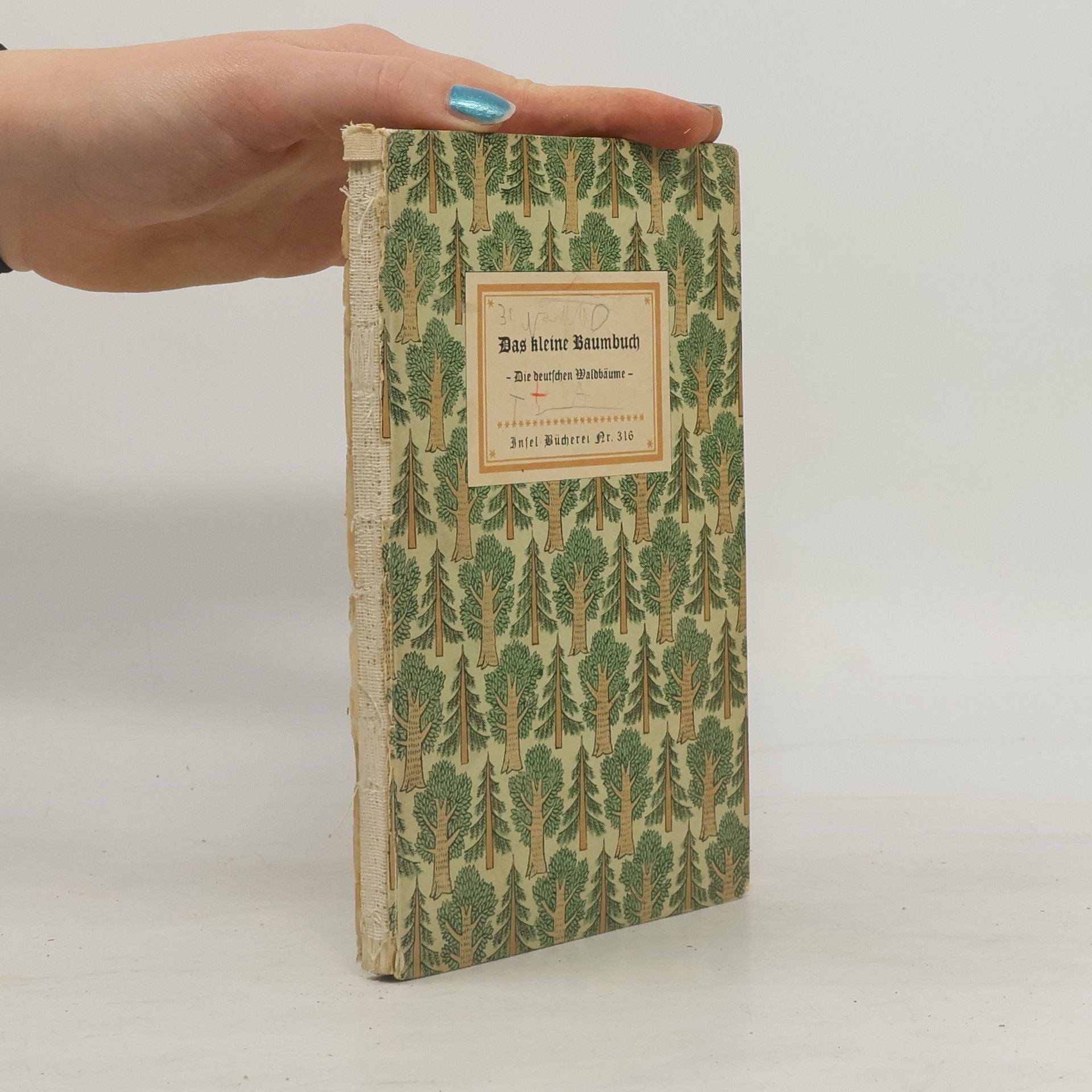 Friedrich Schnack Das kleine Baumbuch