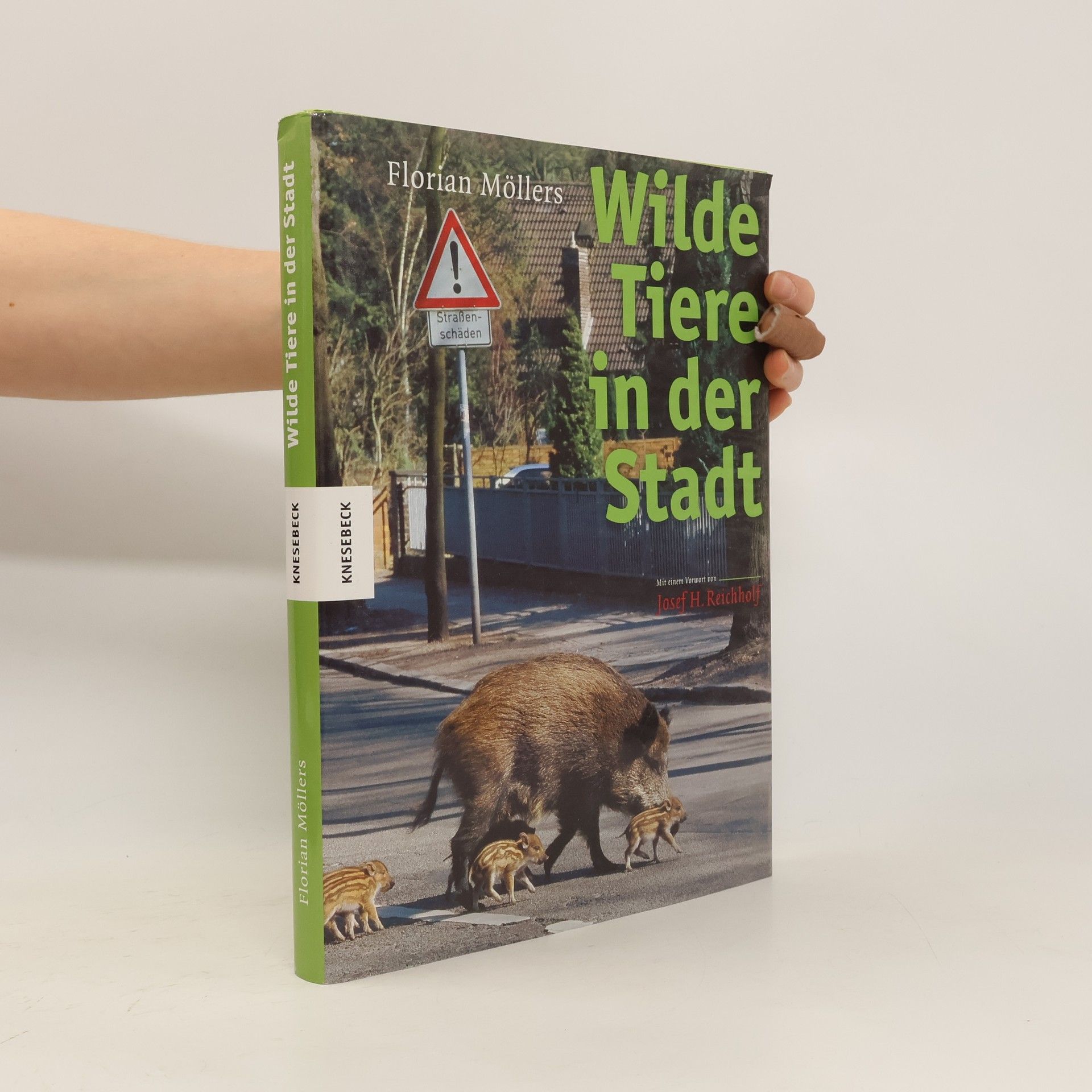 Florian Möllers Wilde Tiere in der Stadt