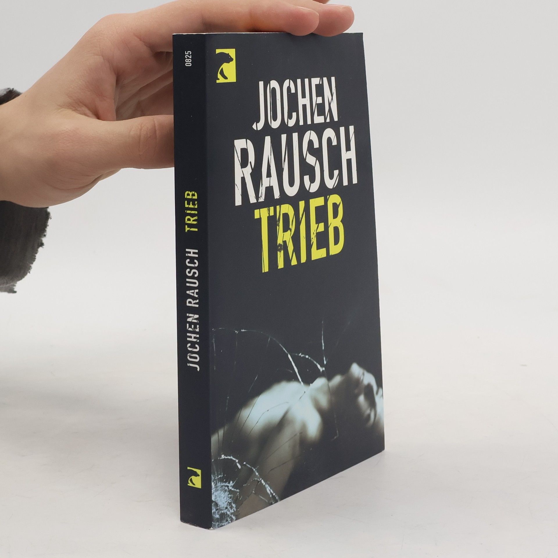 Jochen Rausch Trieb - 13 Storys