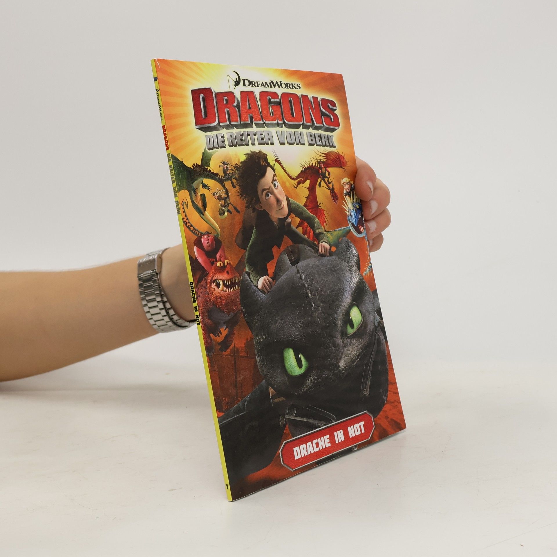 Kolektiv autorů Dragons. Die Reiter von Berk