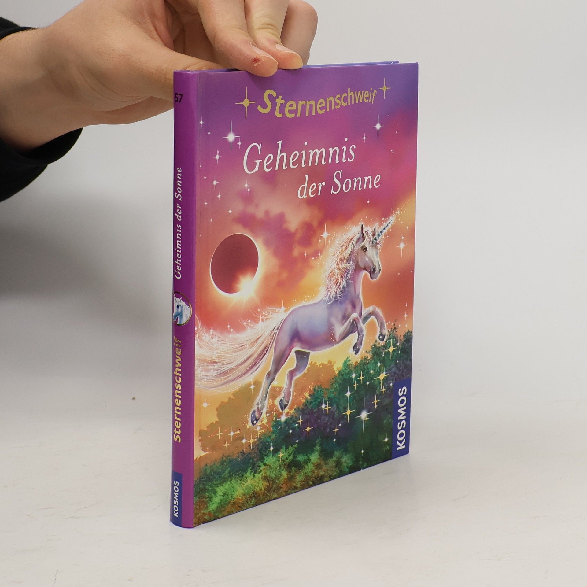 Anne Scheller Geheimnis der Sonne