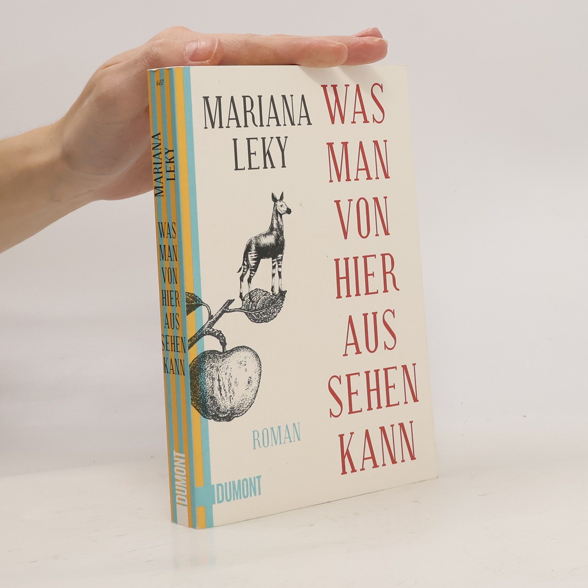 Mariana Leky Was man von hier aus sehen kann