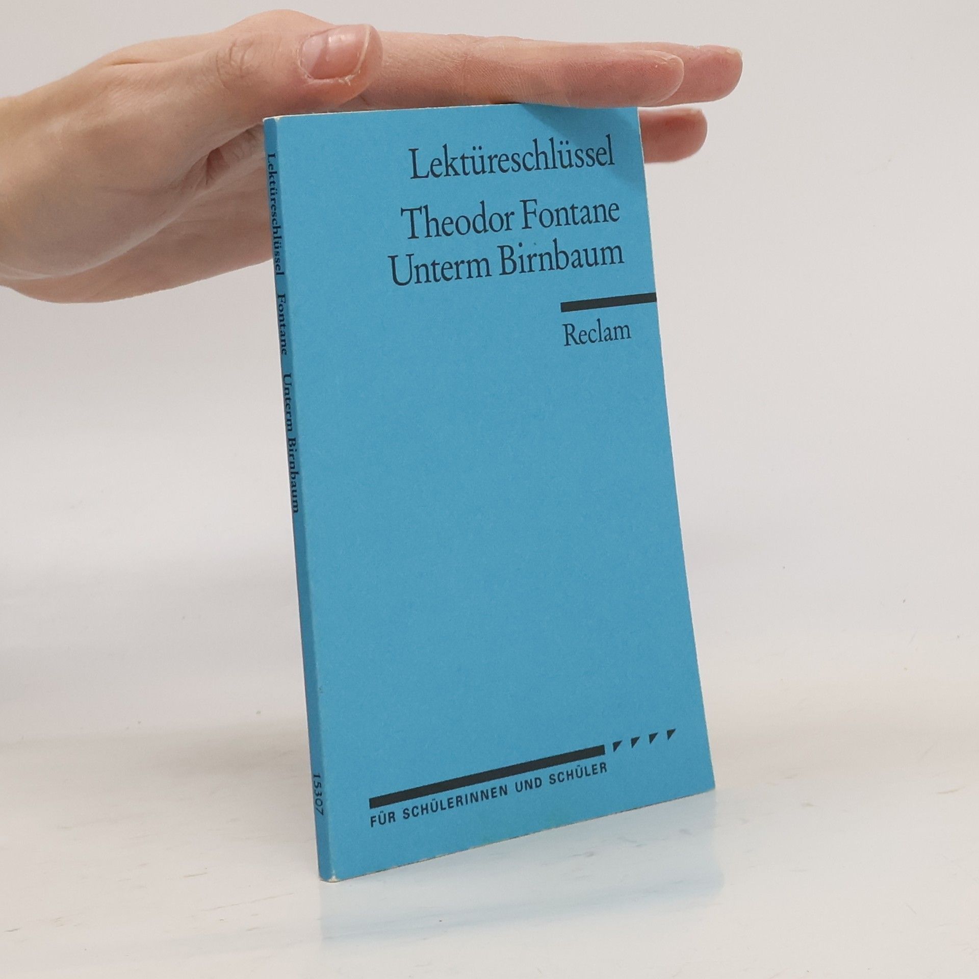 Michael Bohrmann Theodor Fontane, Unterm Birnbaum