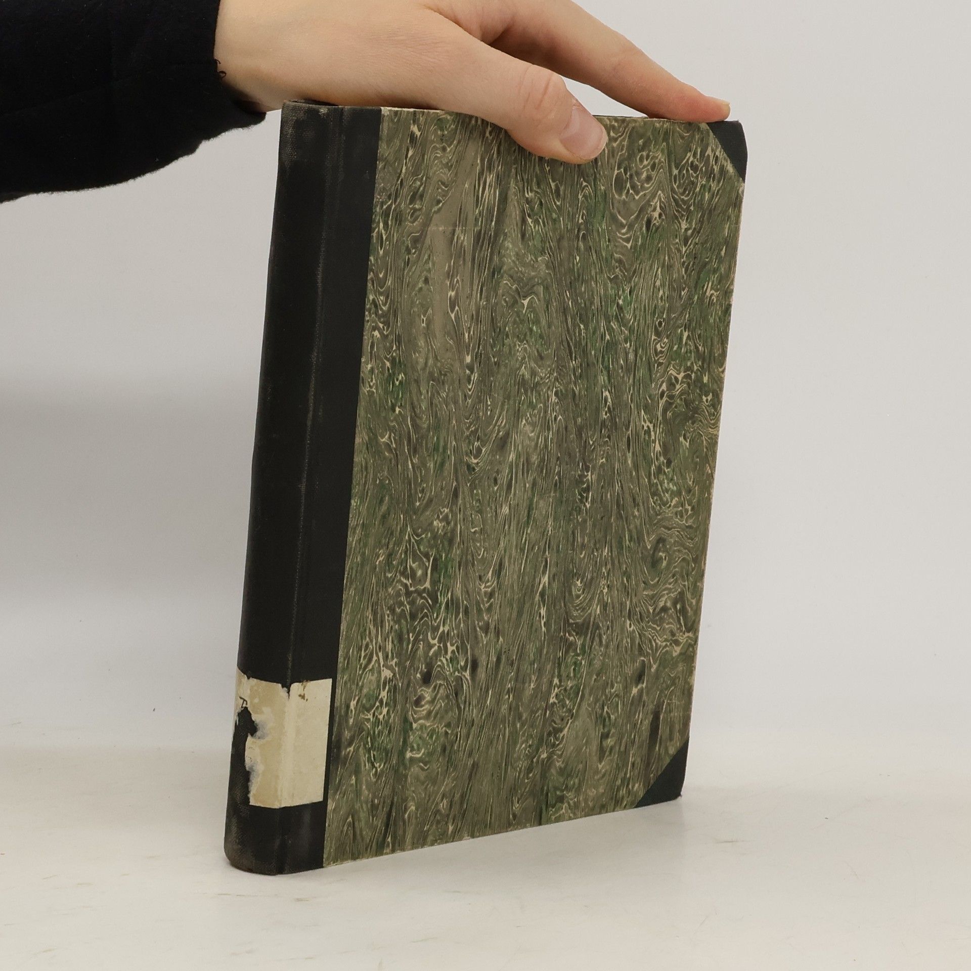 František Roubík Přehled českých dějin