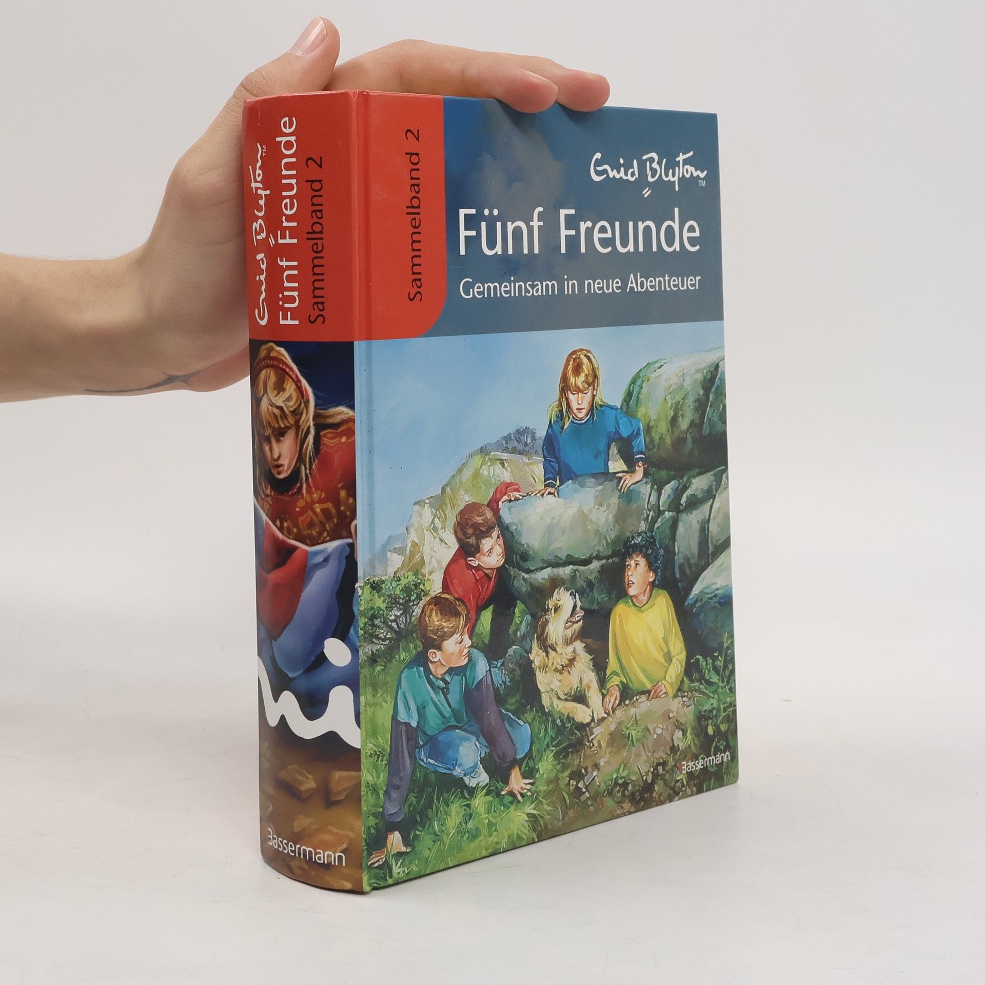 Werner Lincke Fünf Freunde