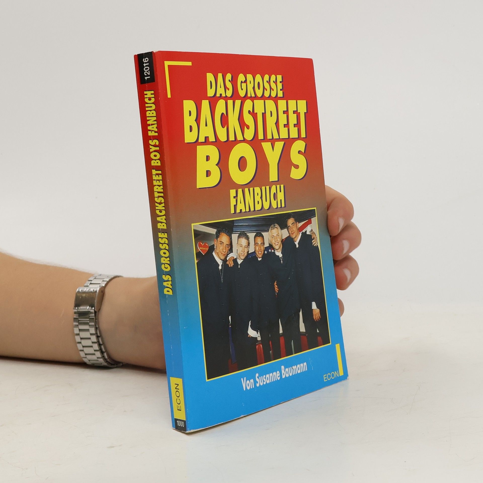 Das große Backstreet Boys Fanbuch
