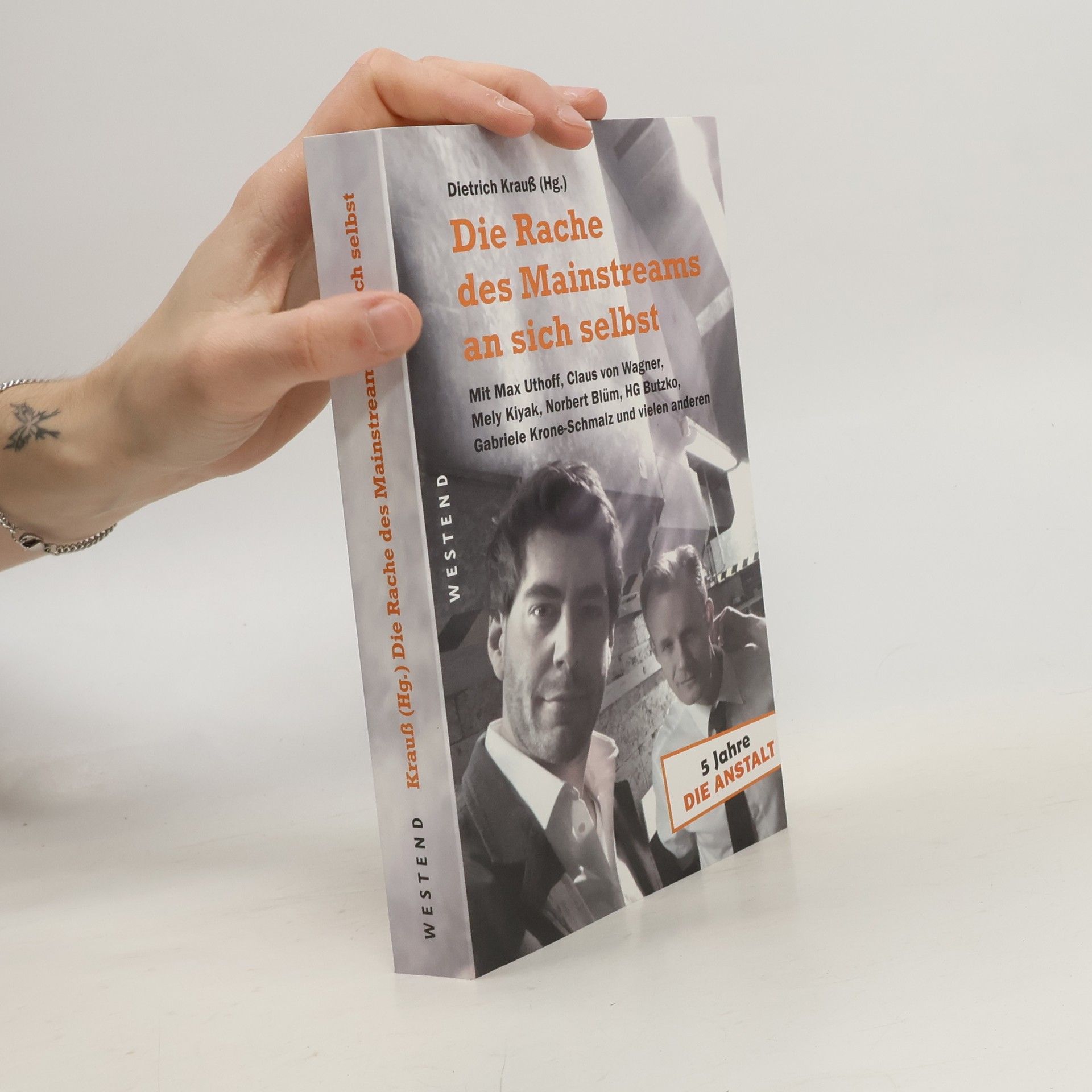Dietrich Krauß Die Rache des Mainstreams an sich selbst