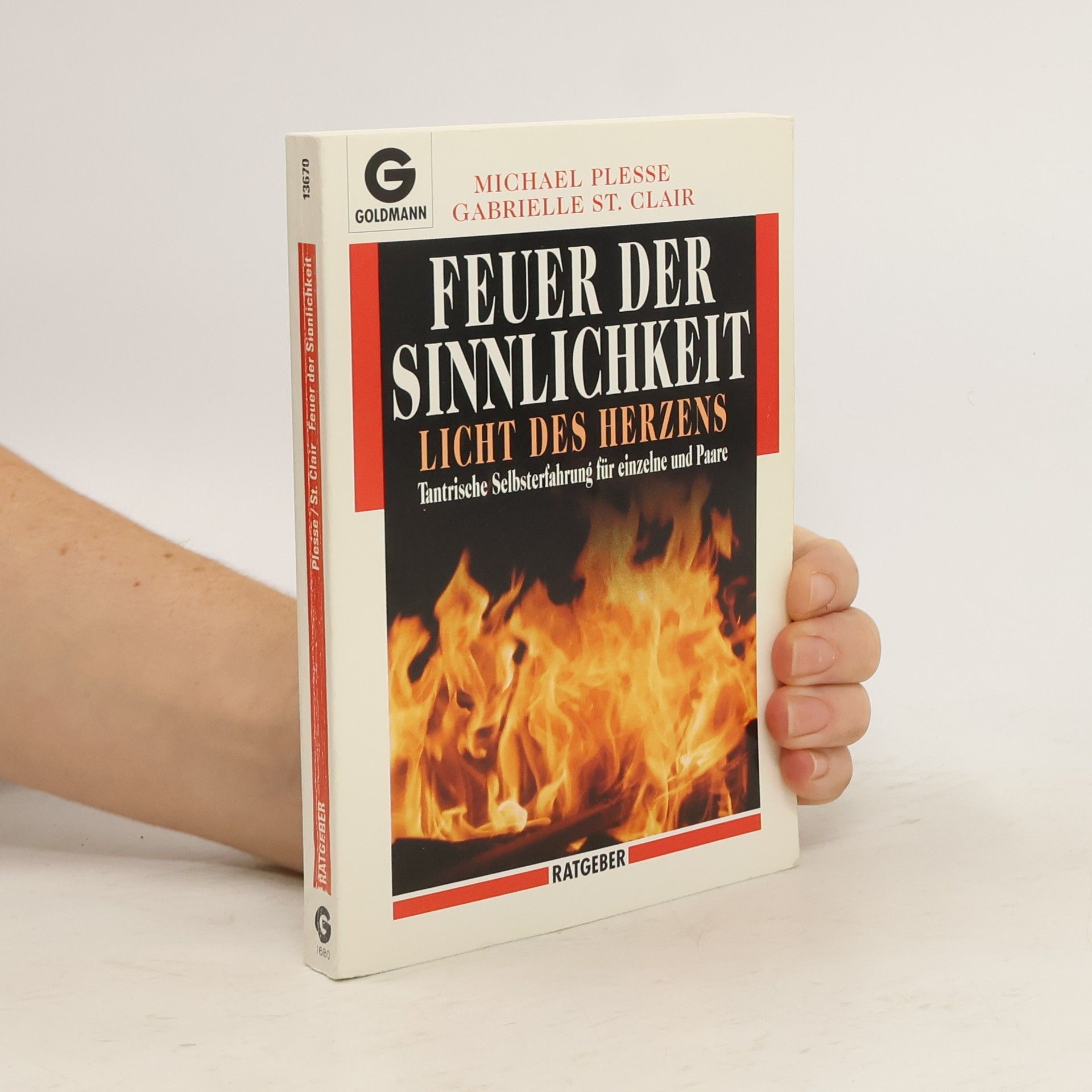 Michael Plesse Feuer der Sinnlichkeit, Licht des Herzens