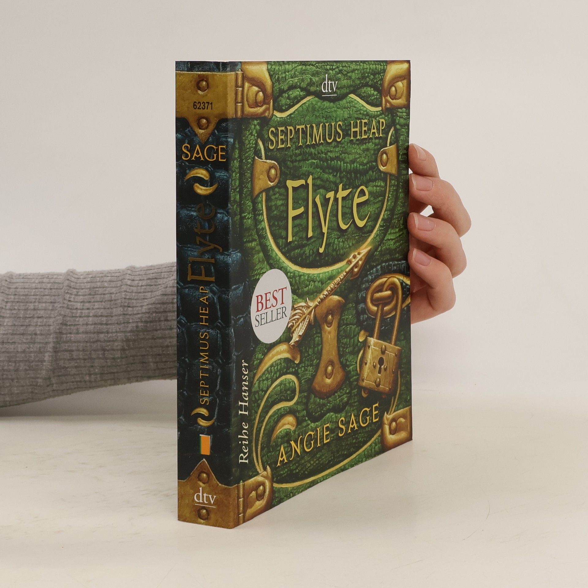 Angie Sage Septimus Heap: Flyte