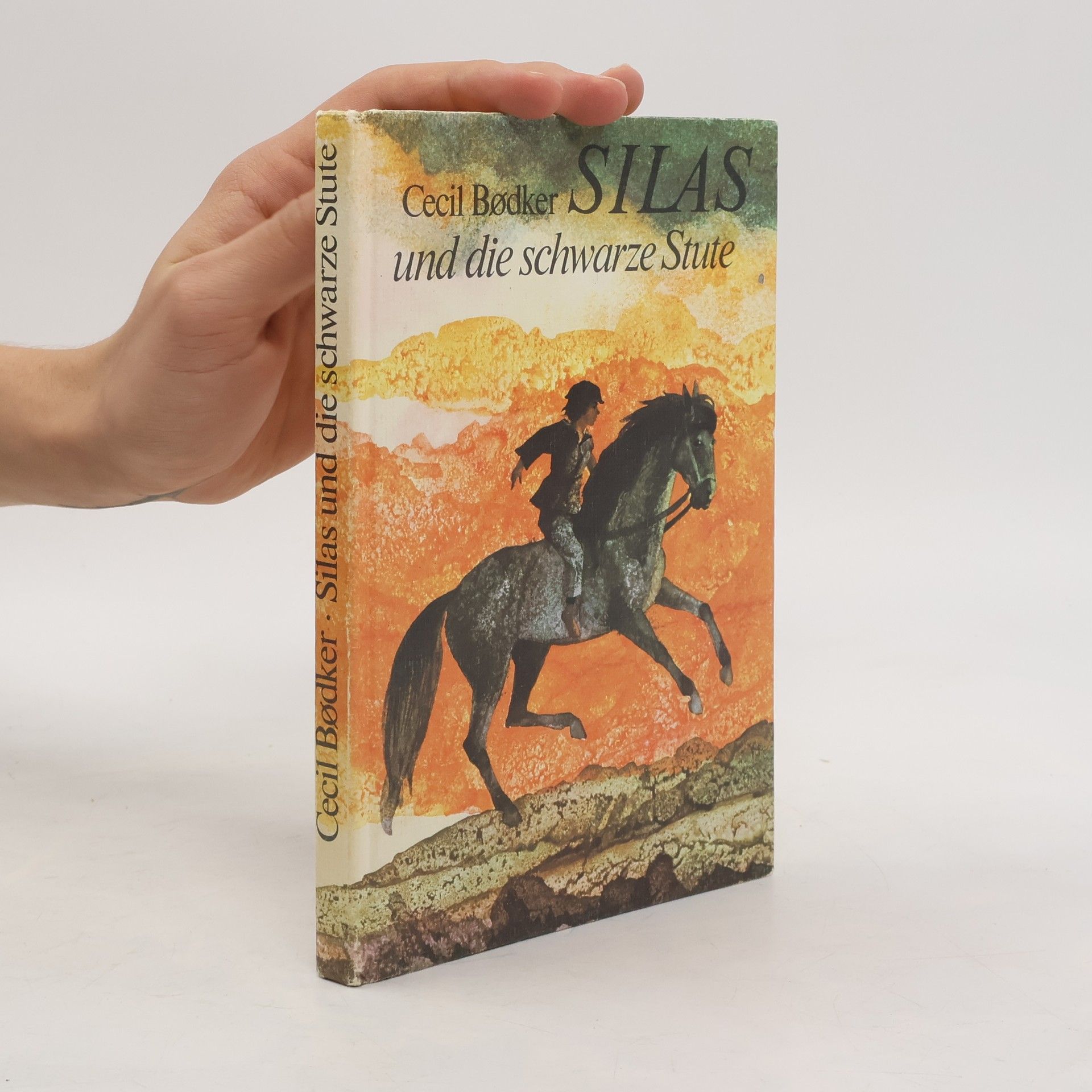 Cecil Bødker Silas und die schwarze Stute