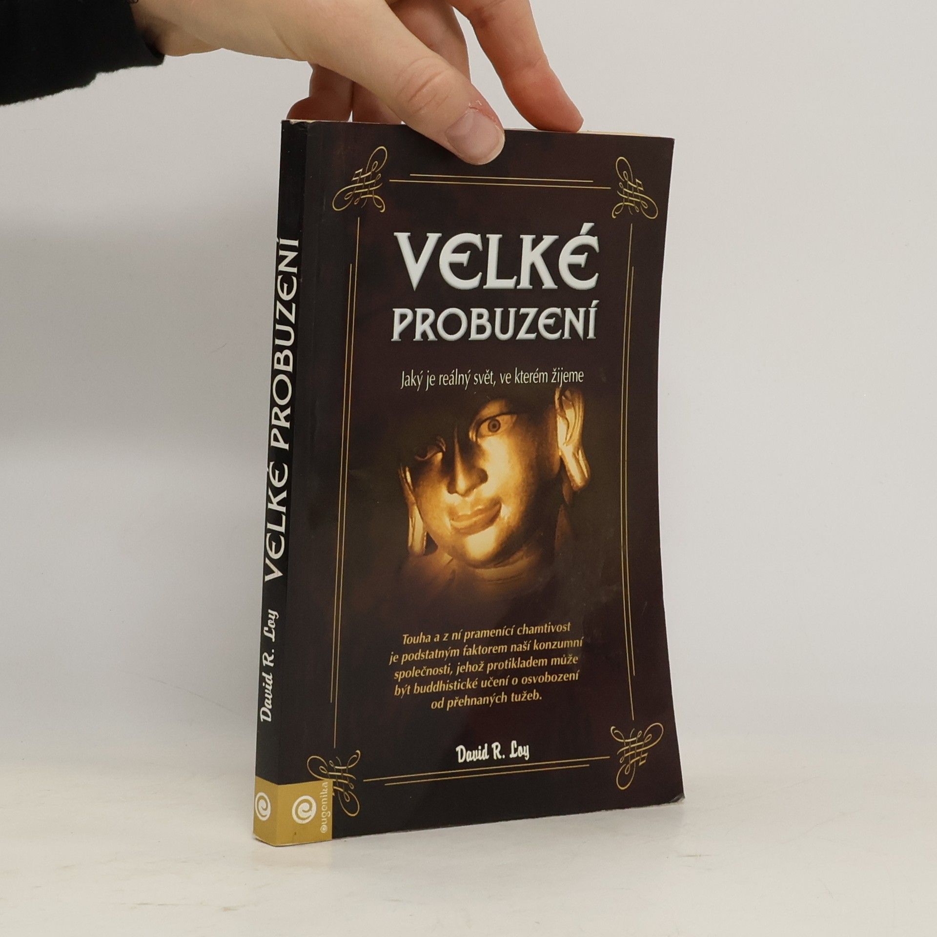 Velké probuzení : jaký je reálný svět, ve kterém žijeme