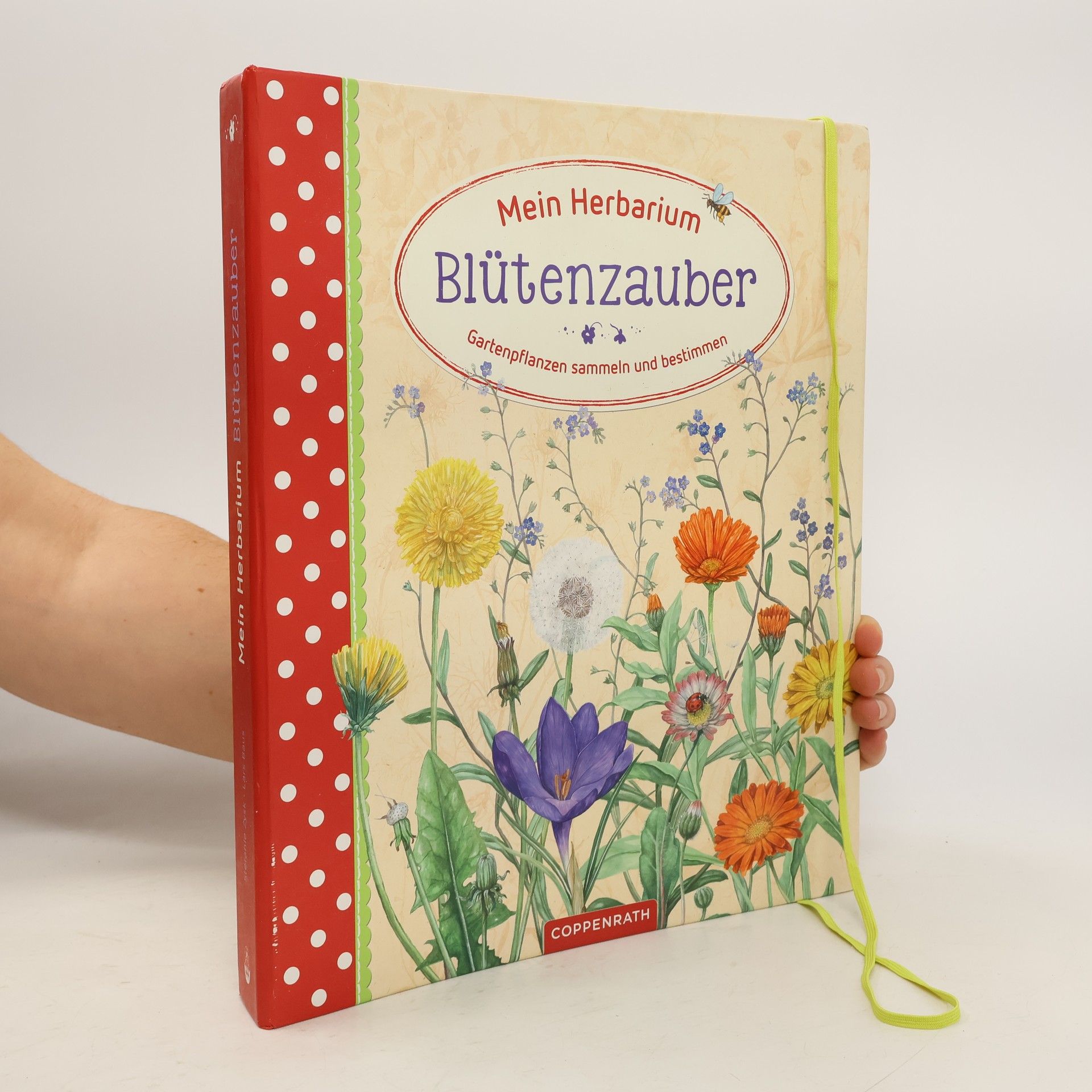 Stefanie Zysk Mein Herbarium: Blütenzauber