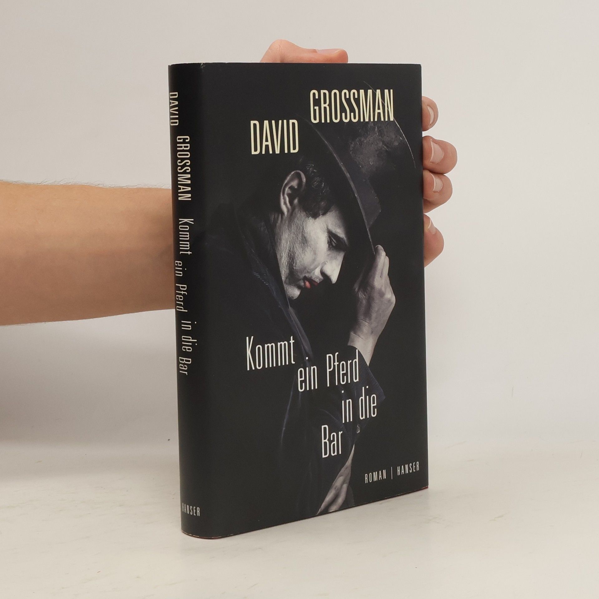 David Grossman Kommt ein Pferd in die Bar