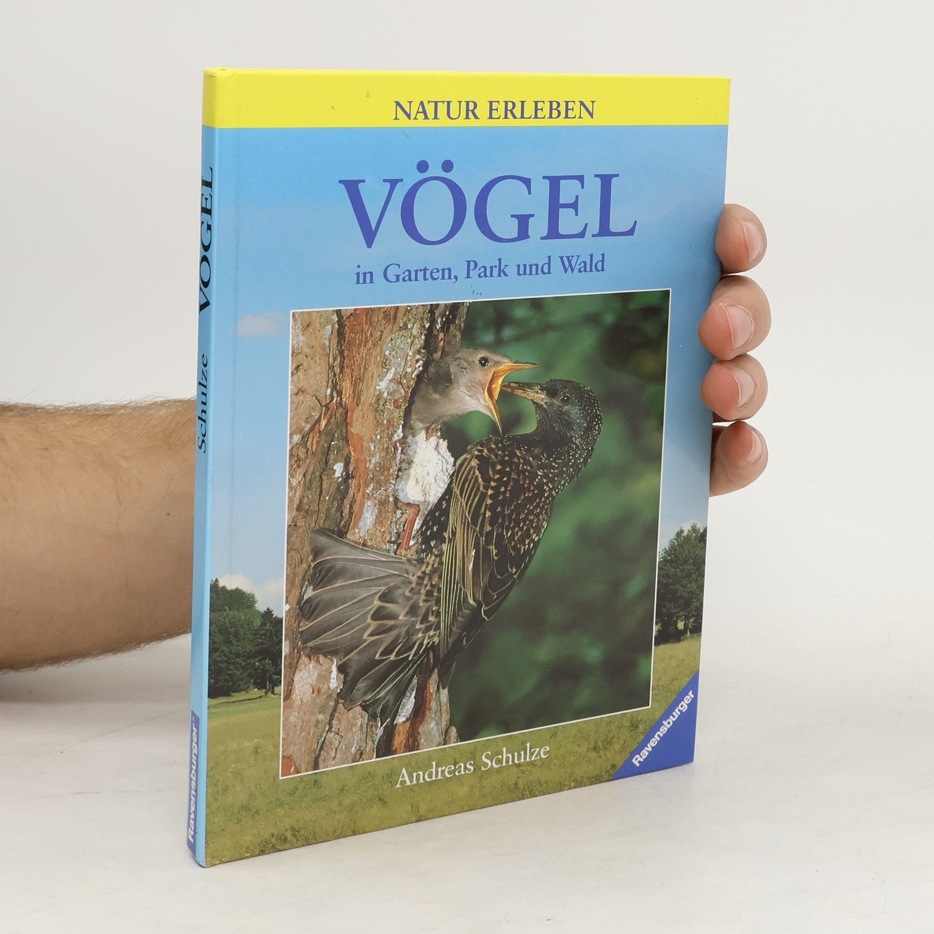 Andreas Schulze Vögel in Garten, Park und Wald