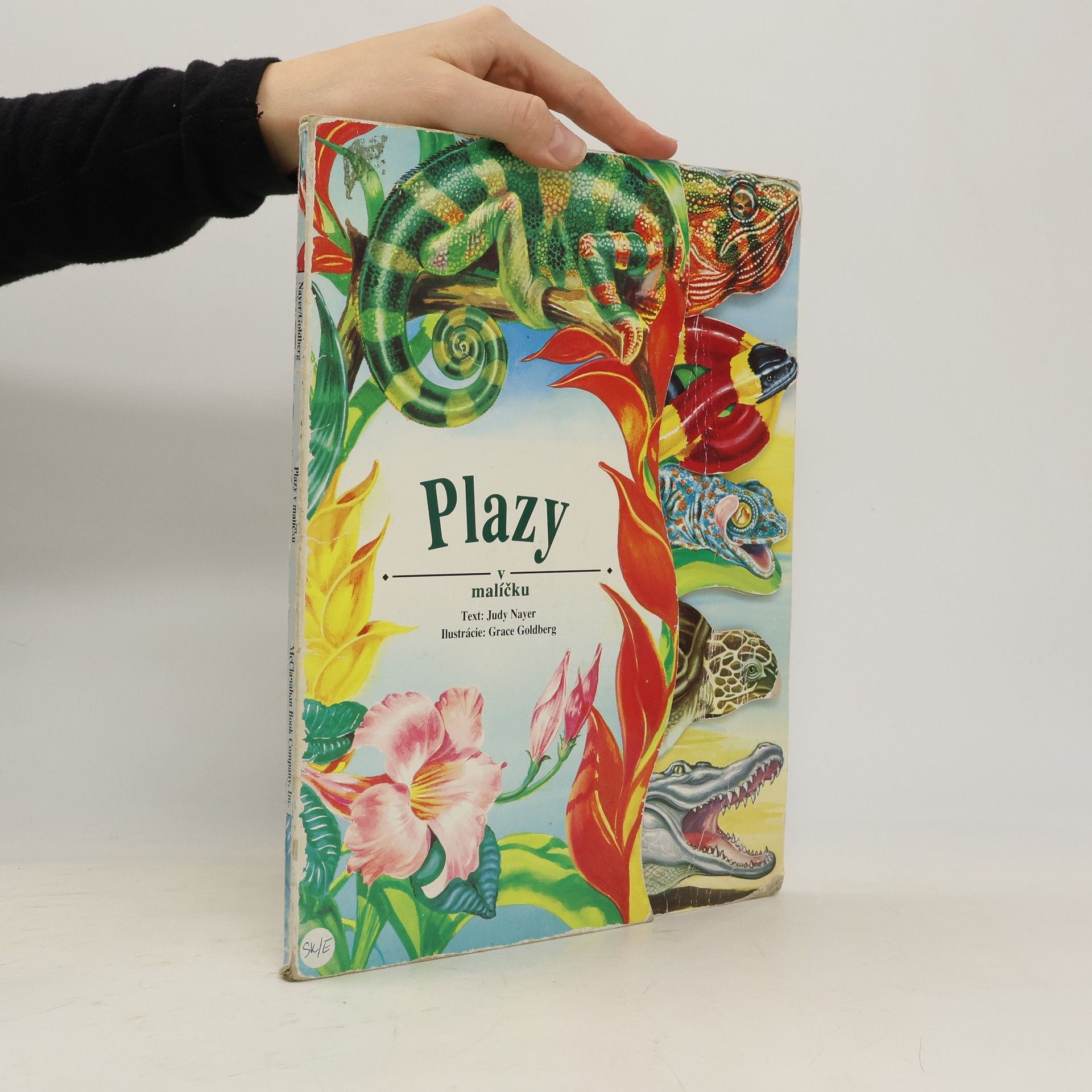 Judy Nayer Plazy v malíčku