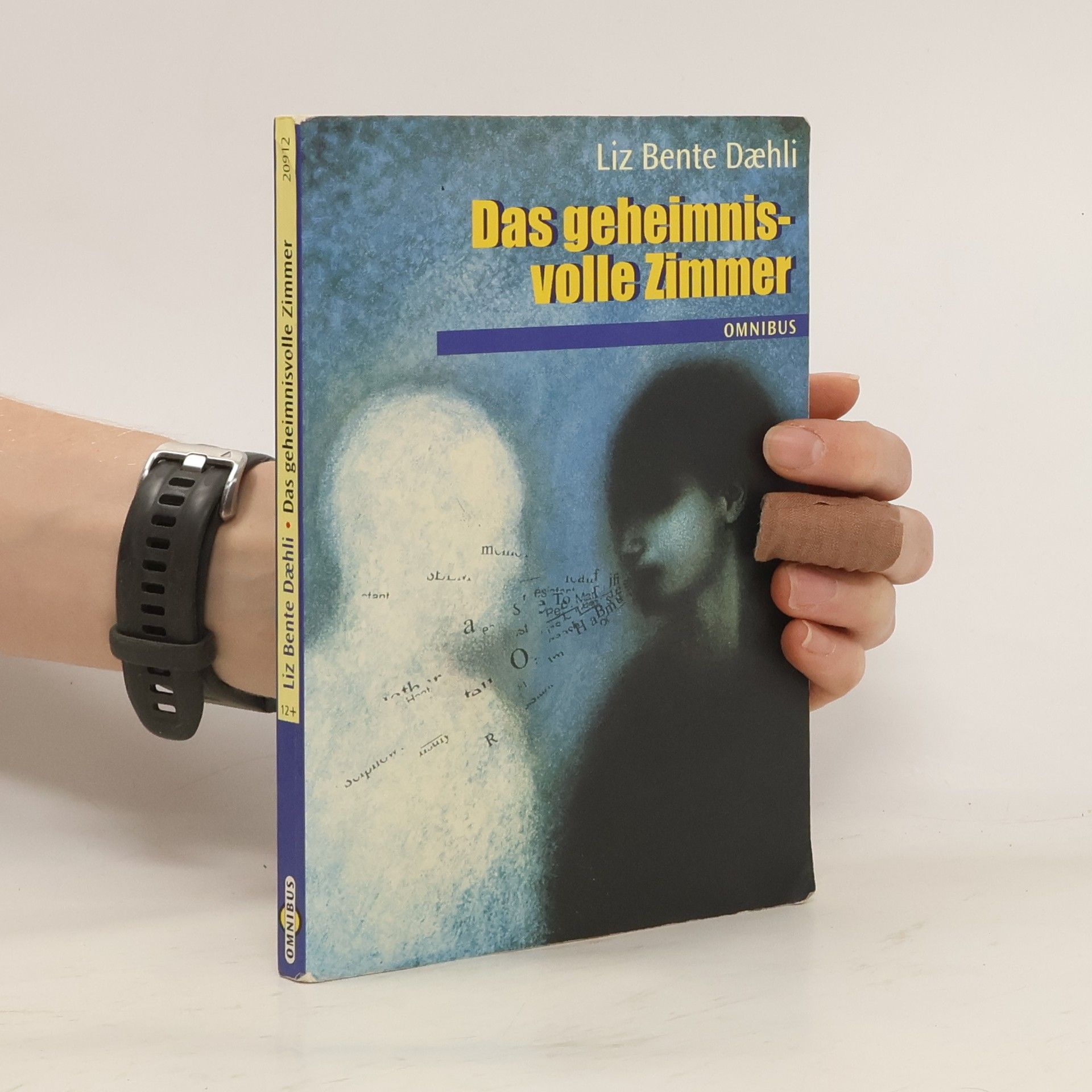 Liz Bente L. Dæhli Das geheimnisvolle Zimmer