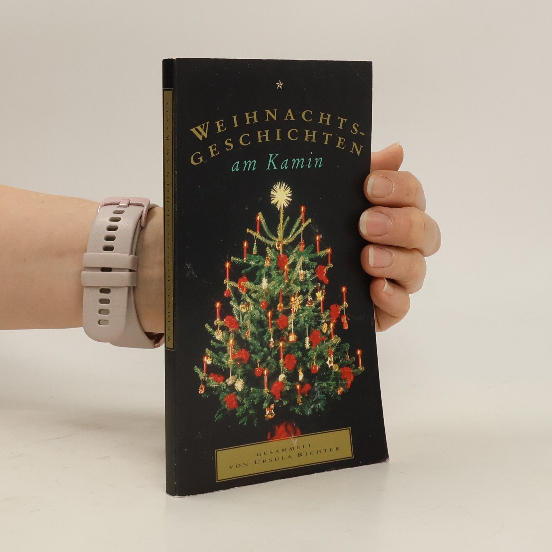 Ursula Richter Weihnachtsgeschichtens am kamin