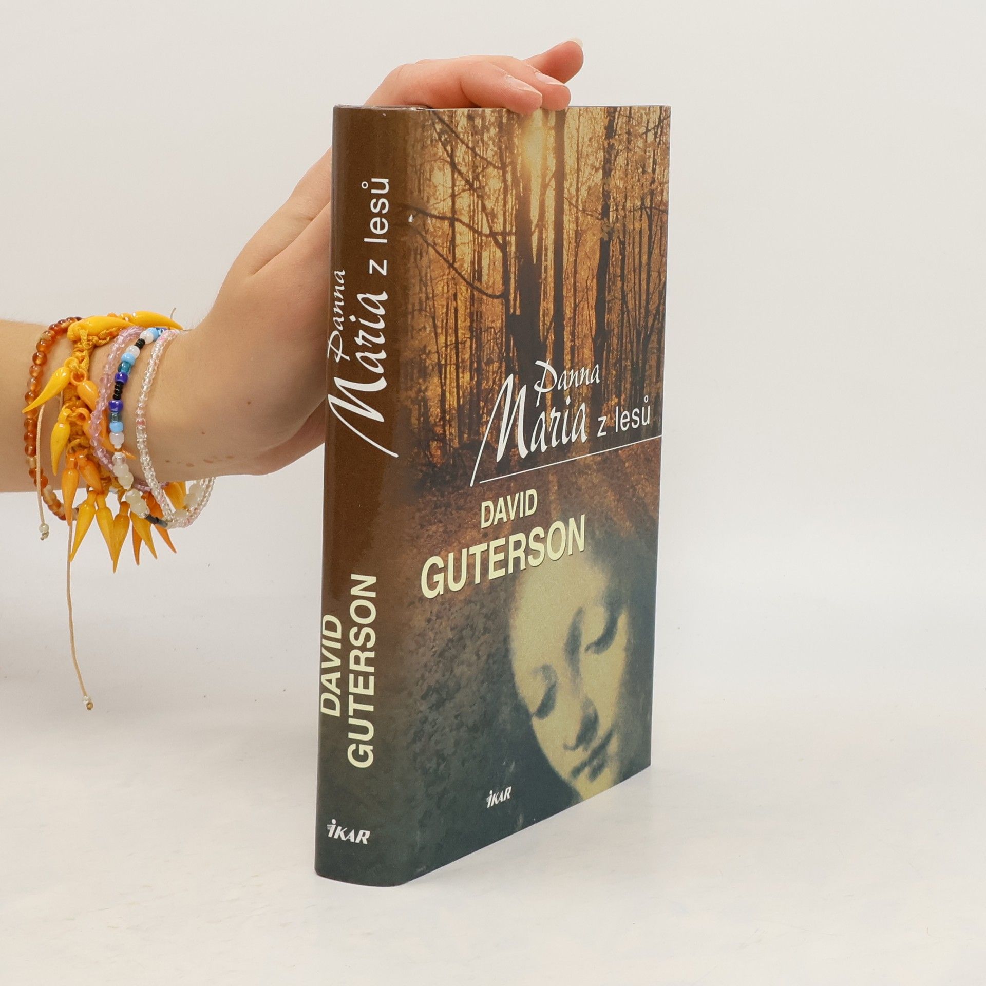 David Guterson Panna Maria z lesů