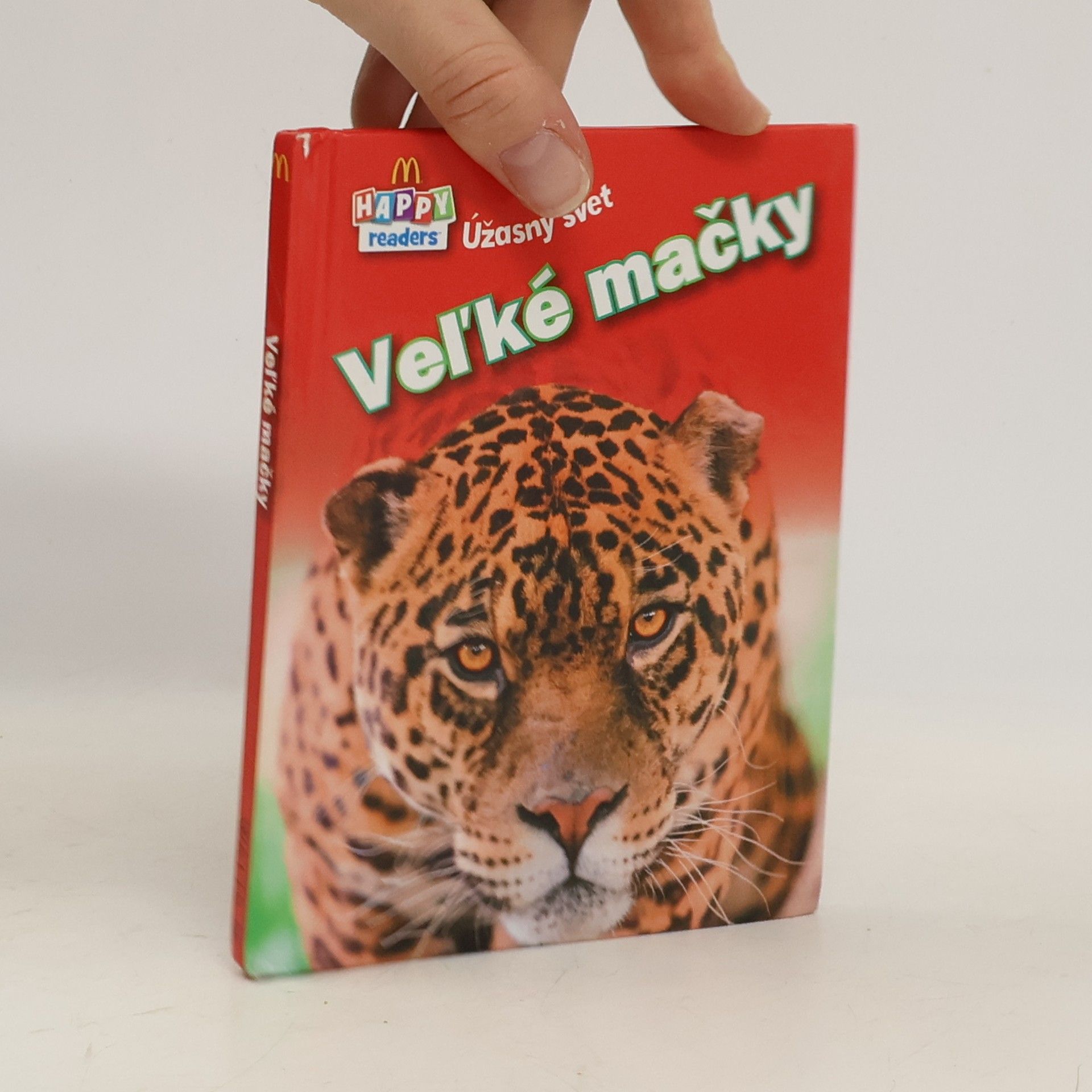 Kolektív autorov Veľké mačky