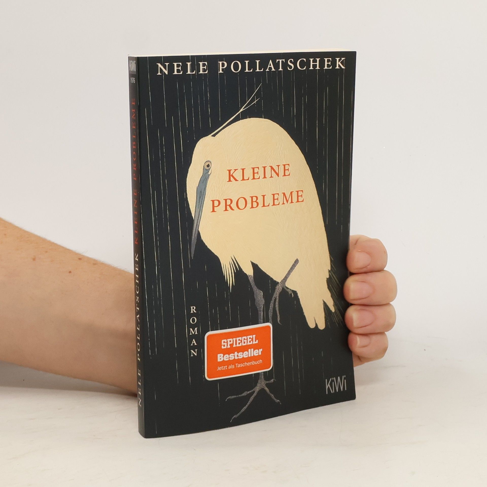 Nele Pollatschek Kleine Probleme