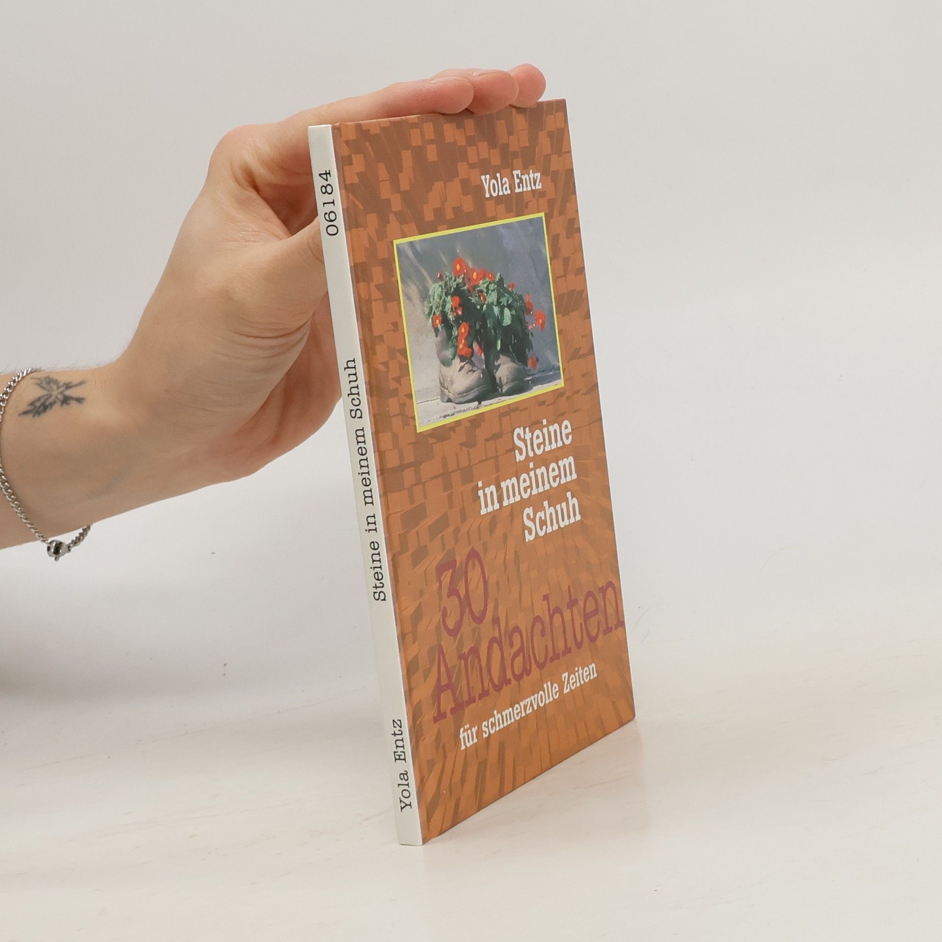 Steine in meinem Schuh