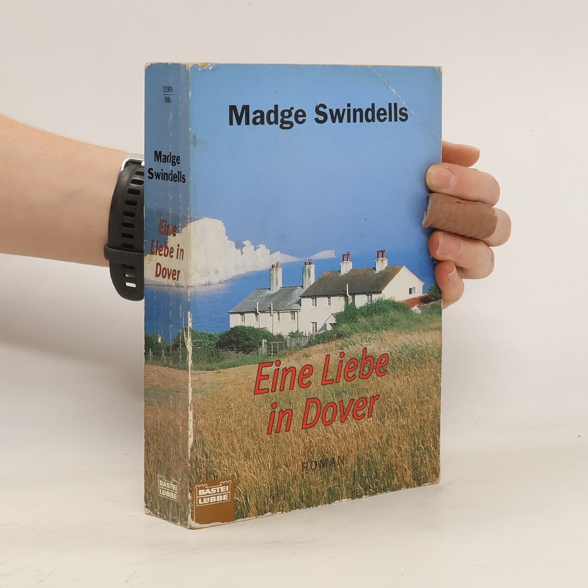Madge Swindellis Eine Liebe in Dover. Roman. Aus d. Engl. v. Ursula Walther