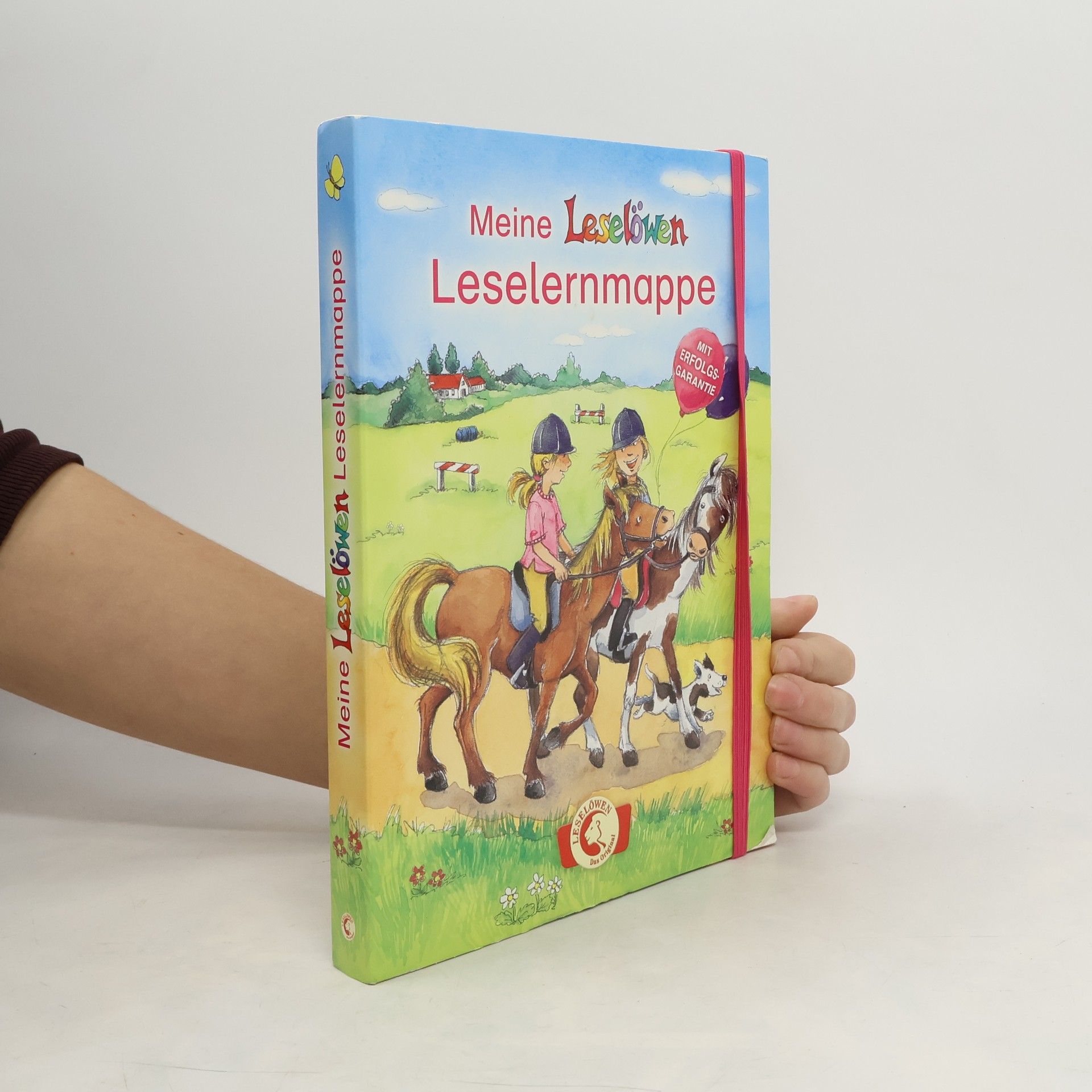 Collectif d'auteurs Meine Leselöwen-Leselernmappe (Pony), 3 Bde.