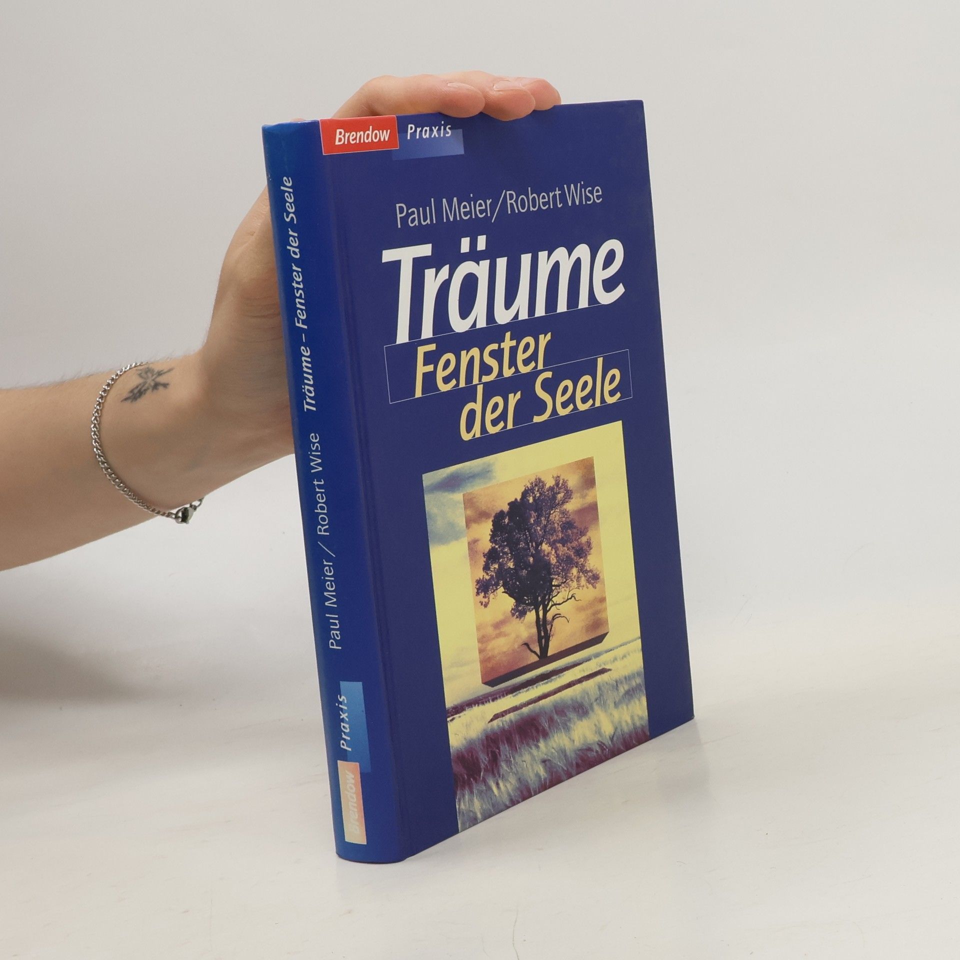 Paul Meier-Kern Träume - Fenster der Seele