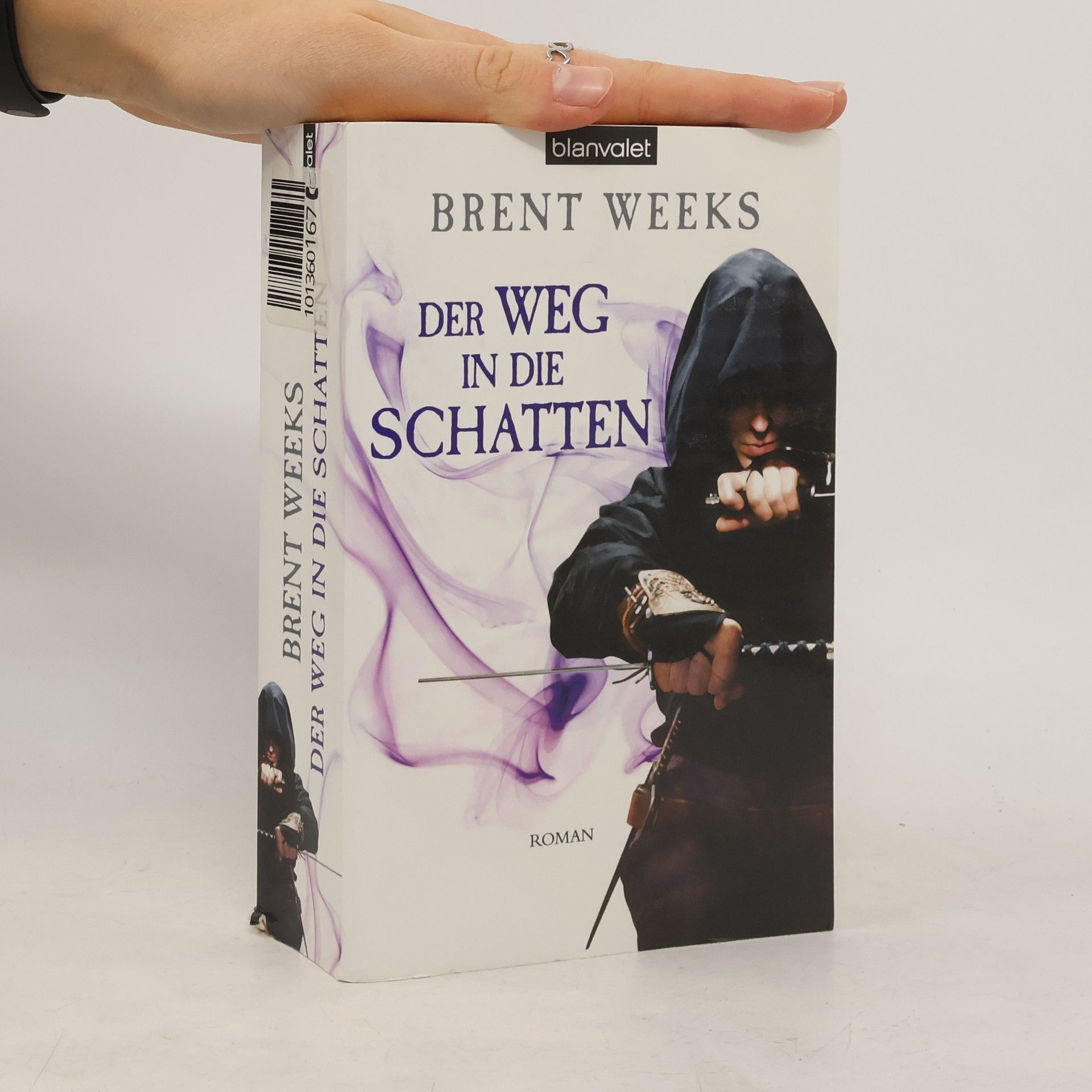 Der Weg in die Schatten