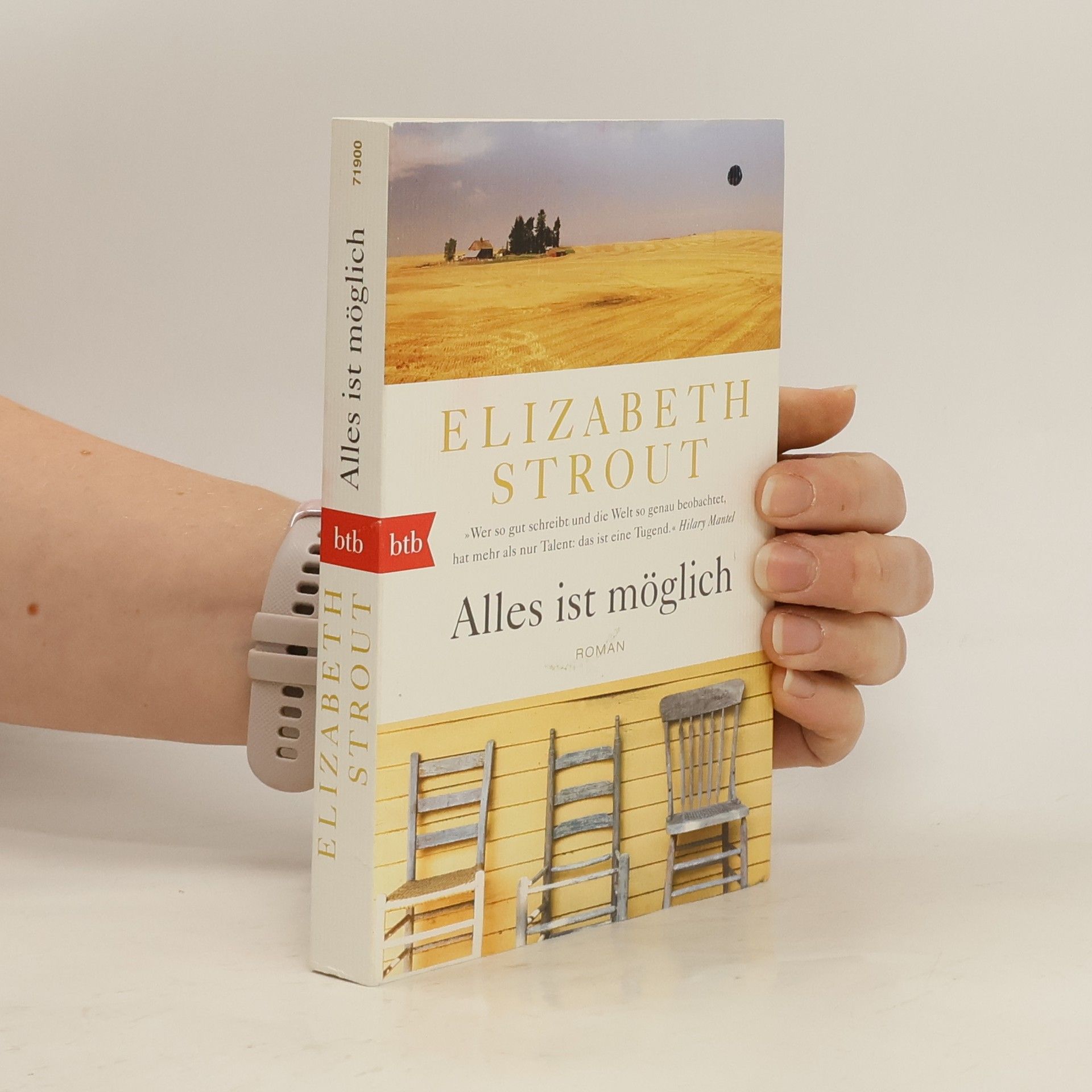 Elizabeth Strout Alles ist möglich