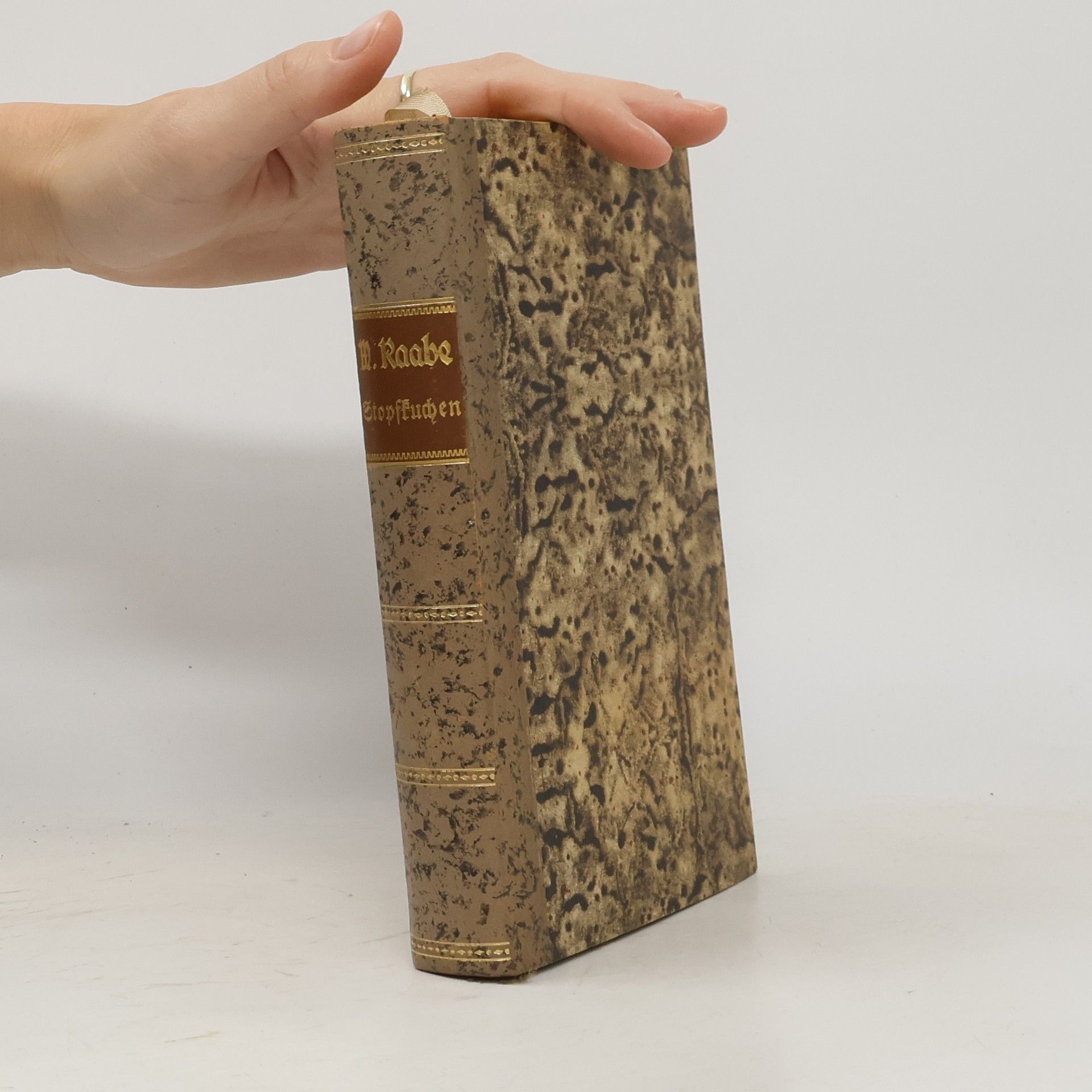 Wilhelm Raabe Stopfkuchen