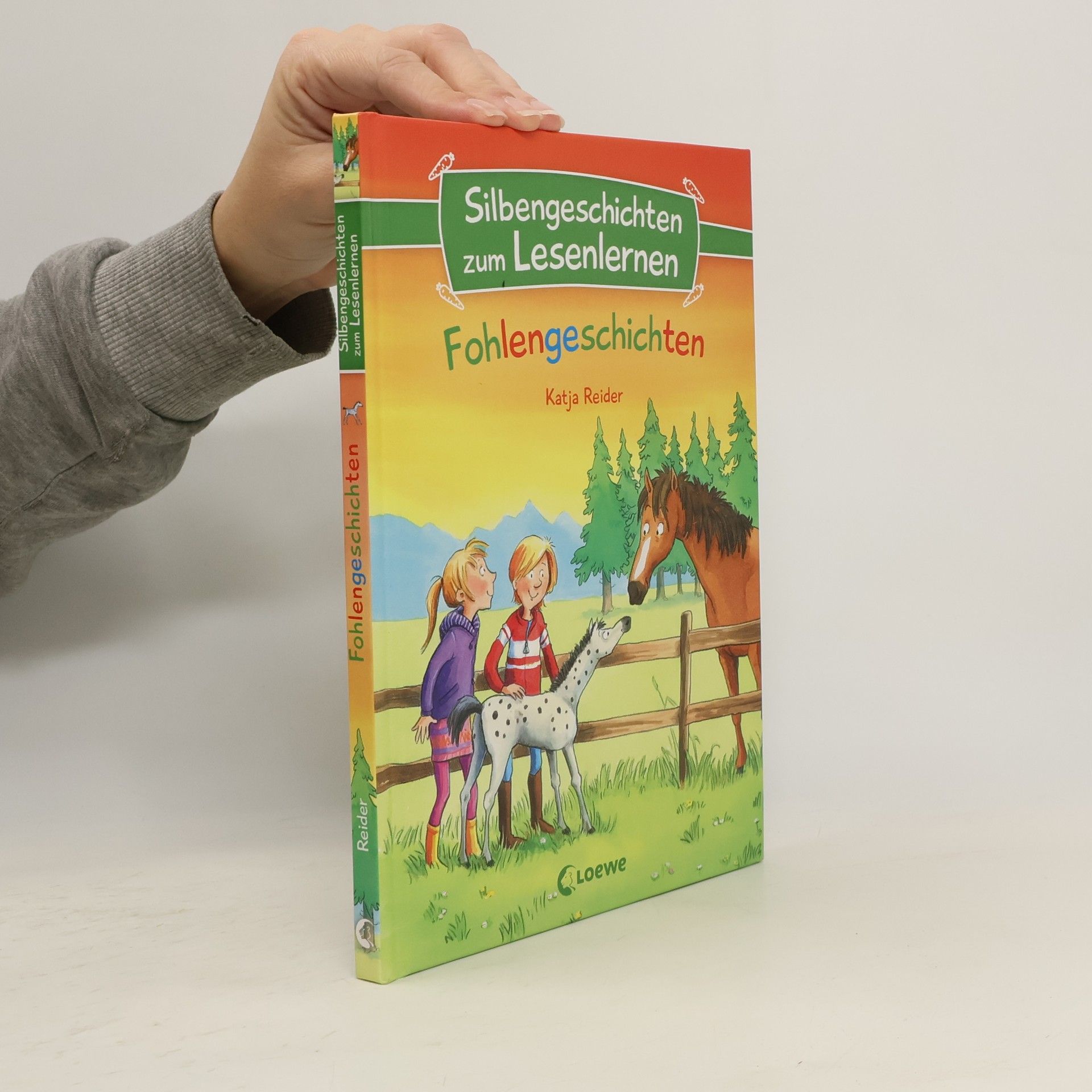 Katja Reider Silbengeschichten zum Lesenlernen - Fohlengeschichten